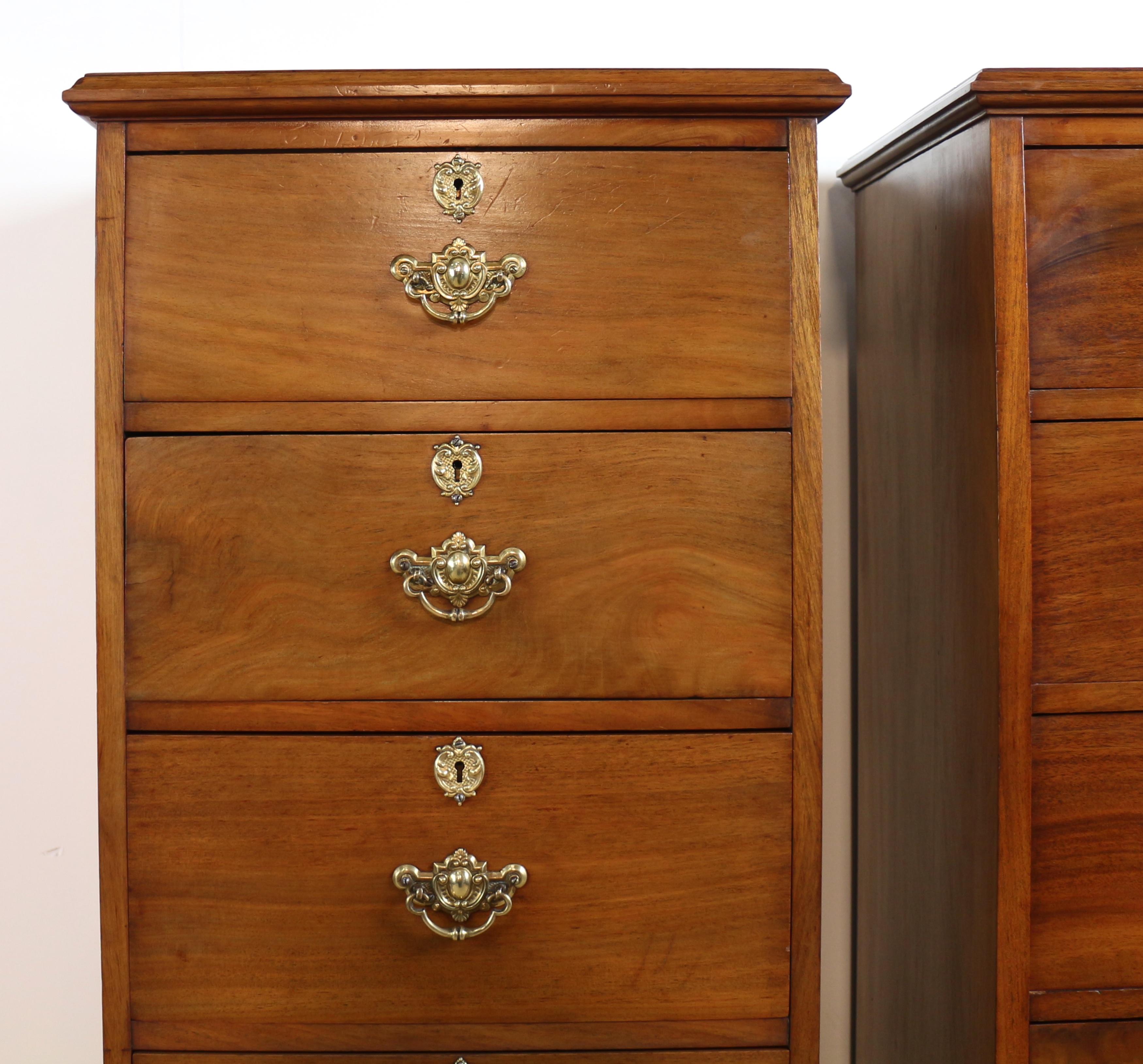 19th Century Pair of Antique Scottish Late Victorian Mahogany Collector’s Chests For Sale