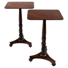 Pair of Antique Scottish Regency Mahogany Pedestal Wine or Occasional Tables