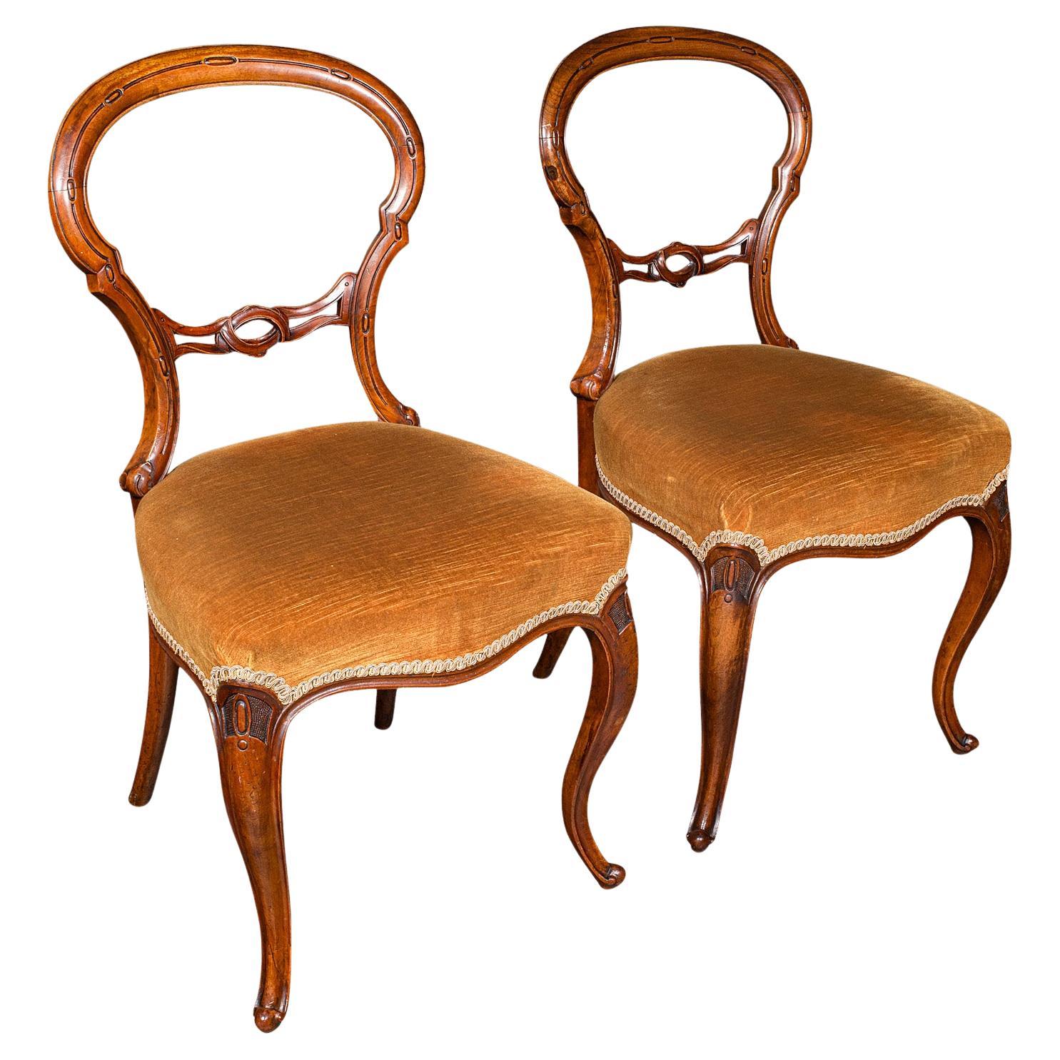 Pair Of Antique Side Chairs, English, Walnut, Buckle Back Seat, Early Victorian