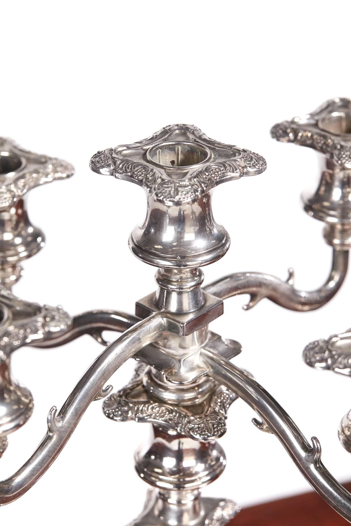20th Century Pair of Antique Silver Plated Five-Branch Candelabras