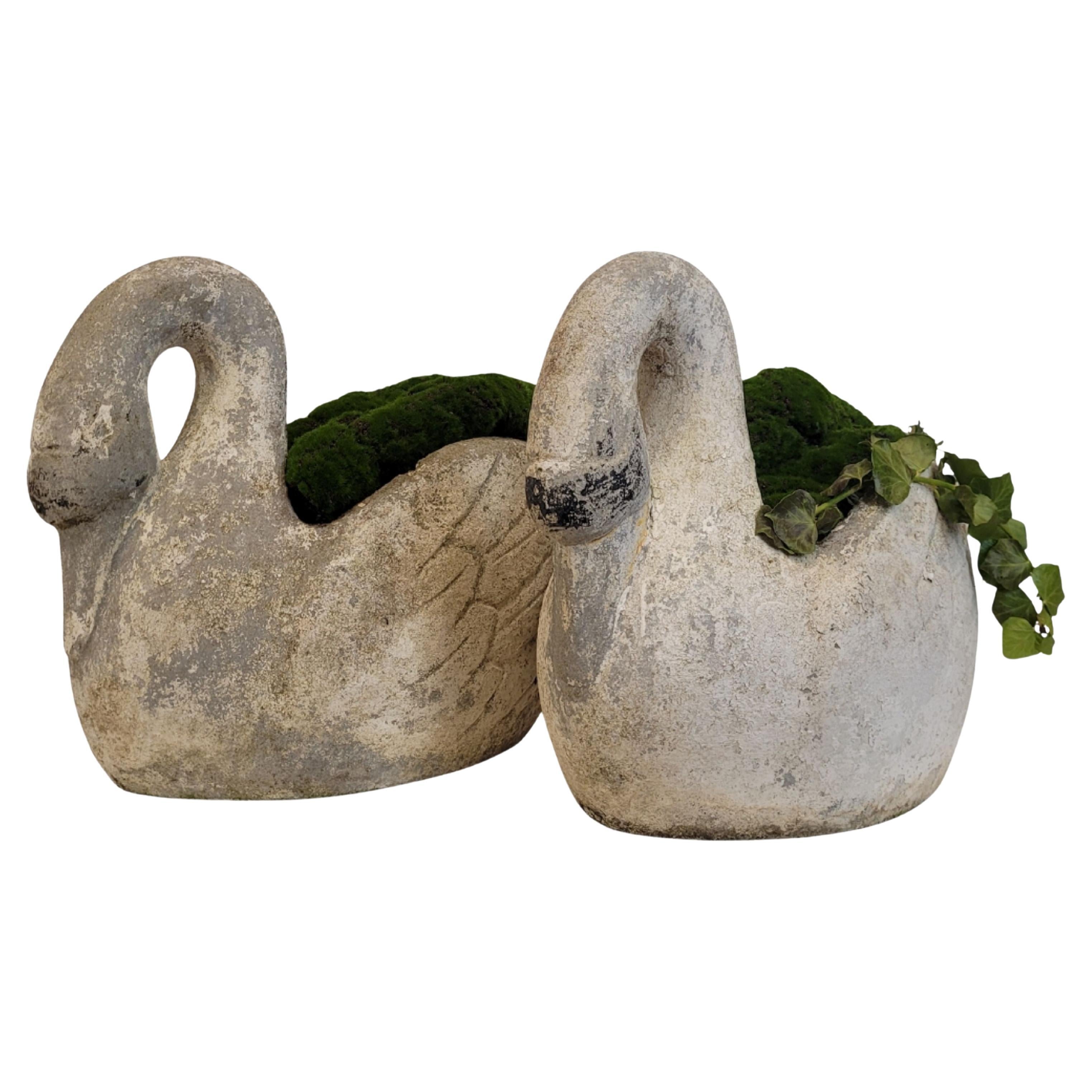 Coppia di antiche fioriere Swan in cemento, Francia.