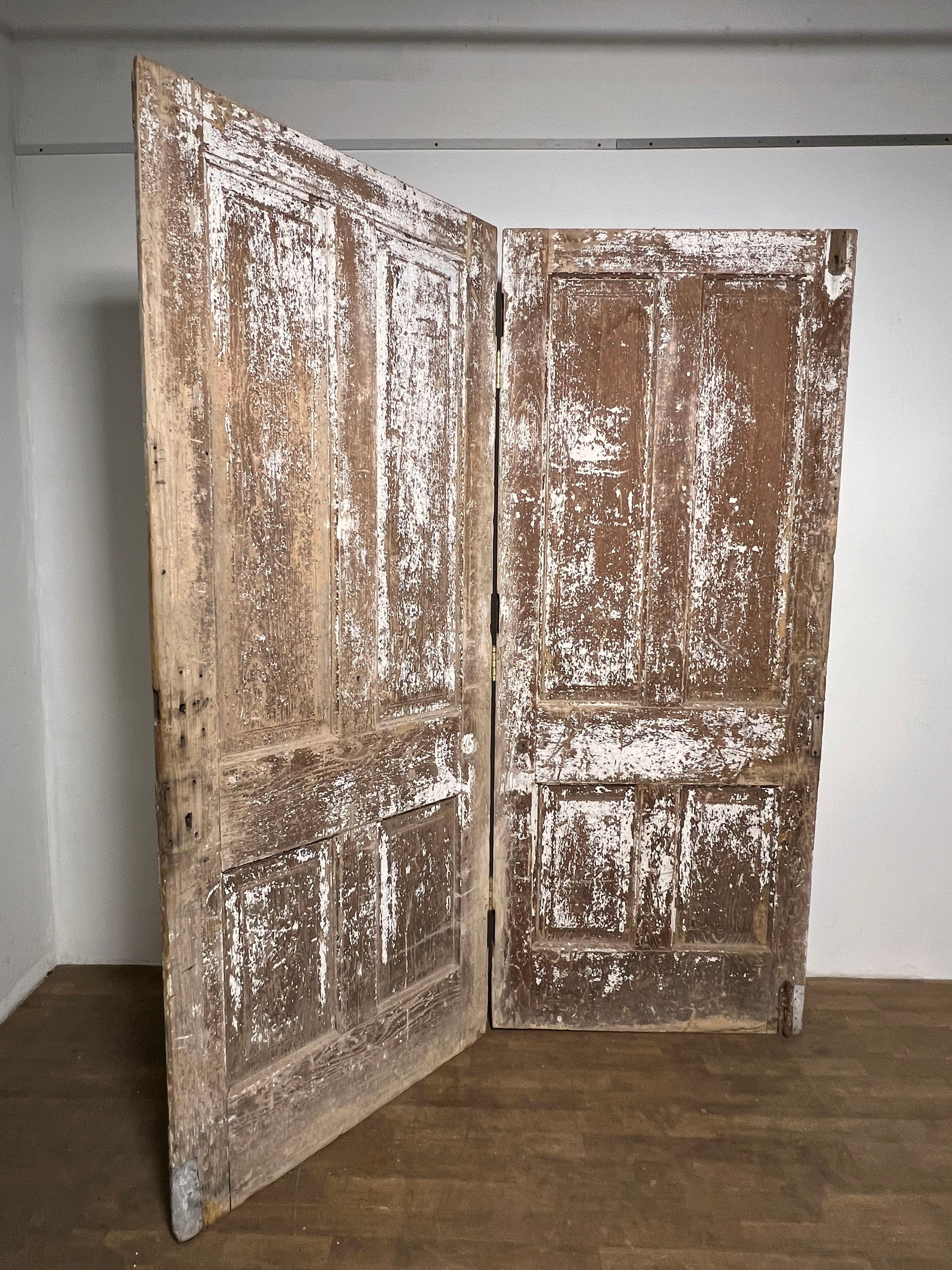 Paire de portes anciennes du XVIIIe siècle provenant de la dépendance d'un manoir suédois, importées aux États-Unis à la fin du XXe siècle avec des traces de leur peinture d'origine à la chaux.  Une porte au verso conserve un panneau galvanisé sur