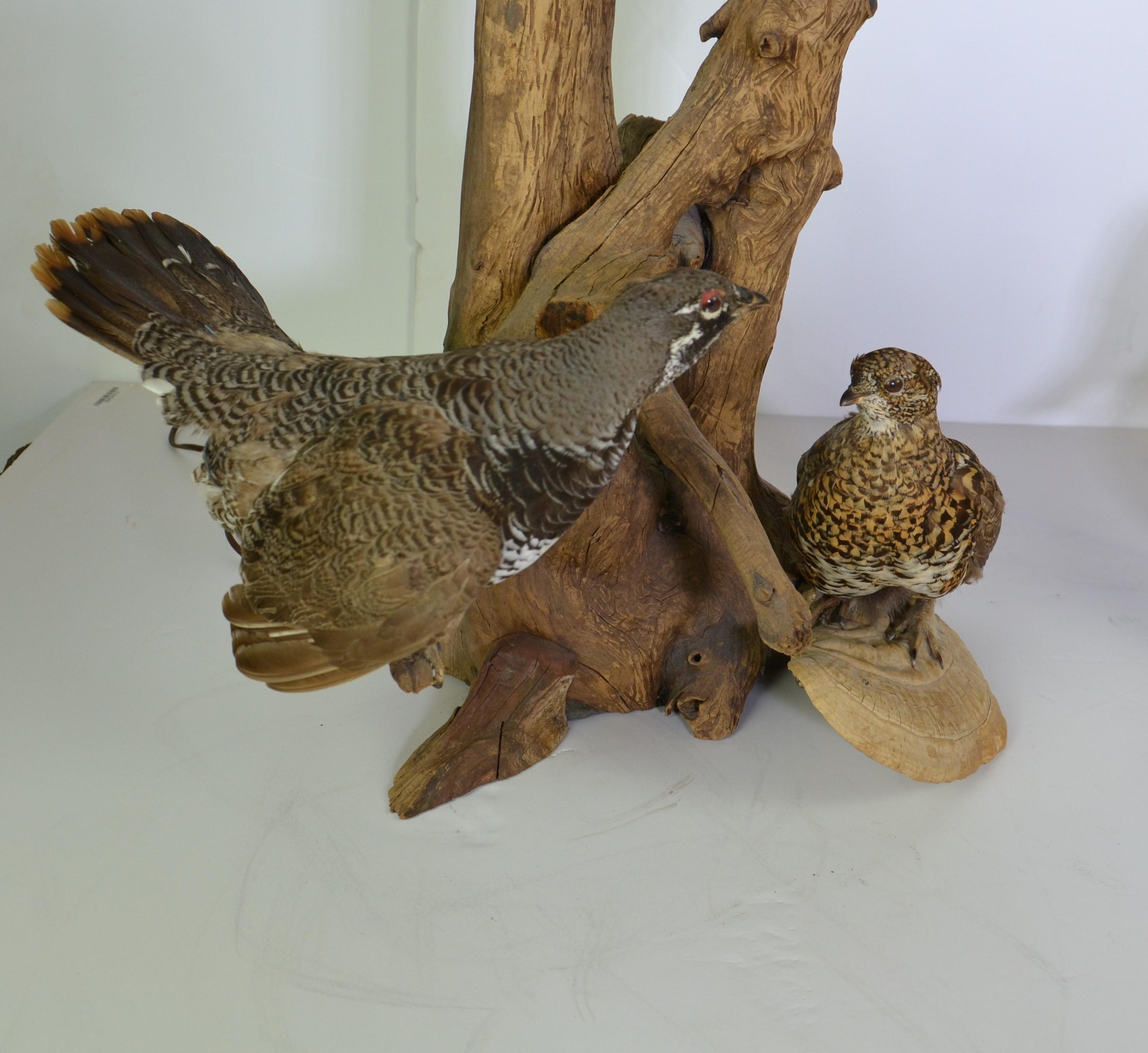 Pair of Antique Taxidermy Table Lamps 3