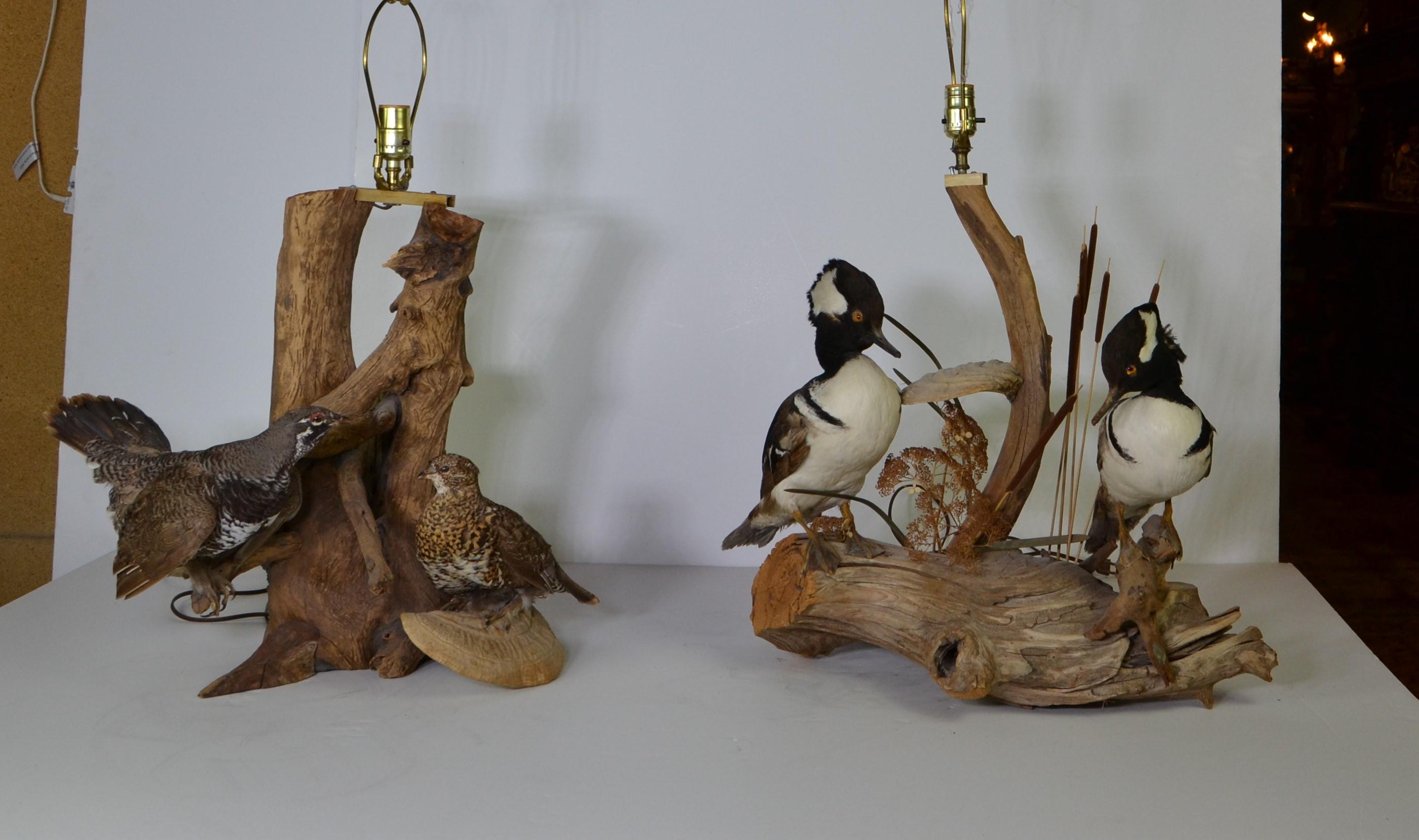 A wonderful pair of table tamps with exotic birds on driftwood bases. Excellent example of old taxidermy.