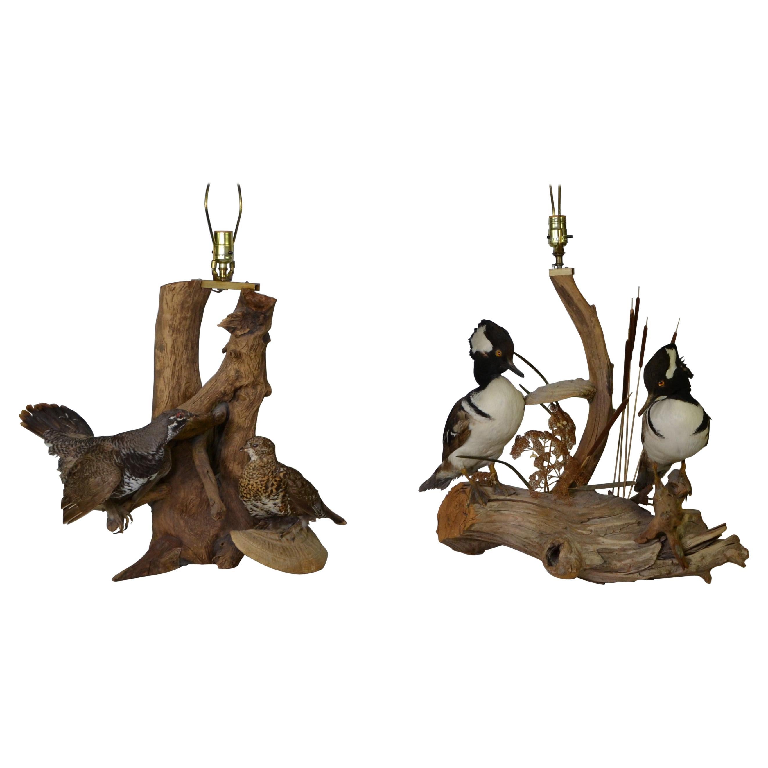 Pair of Antique Taxidermy Table Lamps