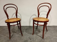 Pair of Antique Thonet Dining Chairs, 1950s