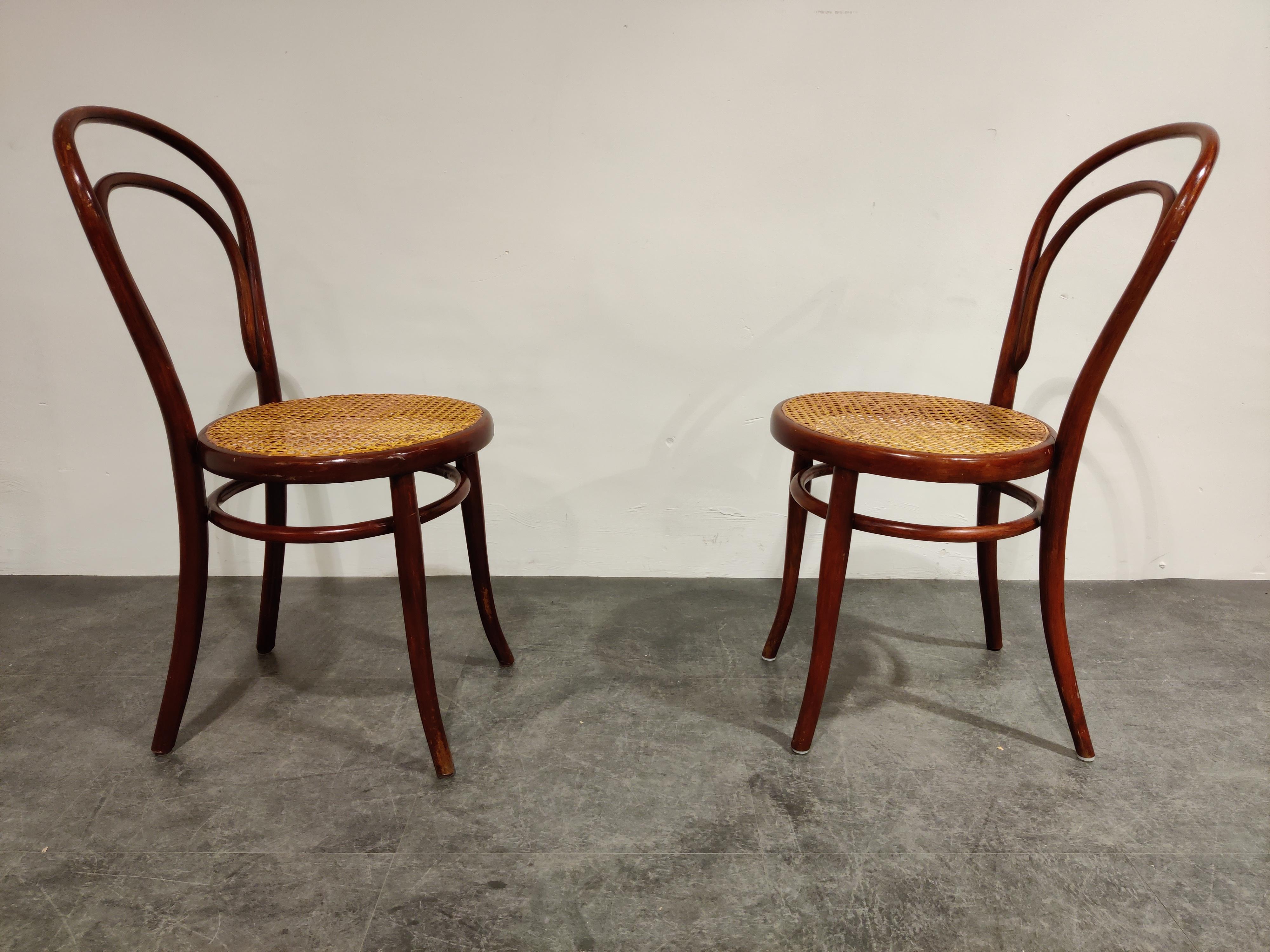 Art Nouveau Pair of Antique Thonet Dining Chairs, 1950s