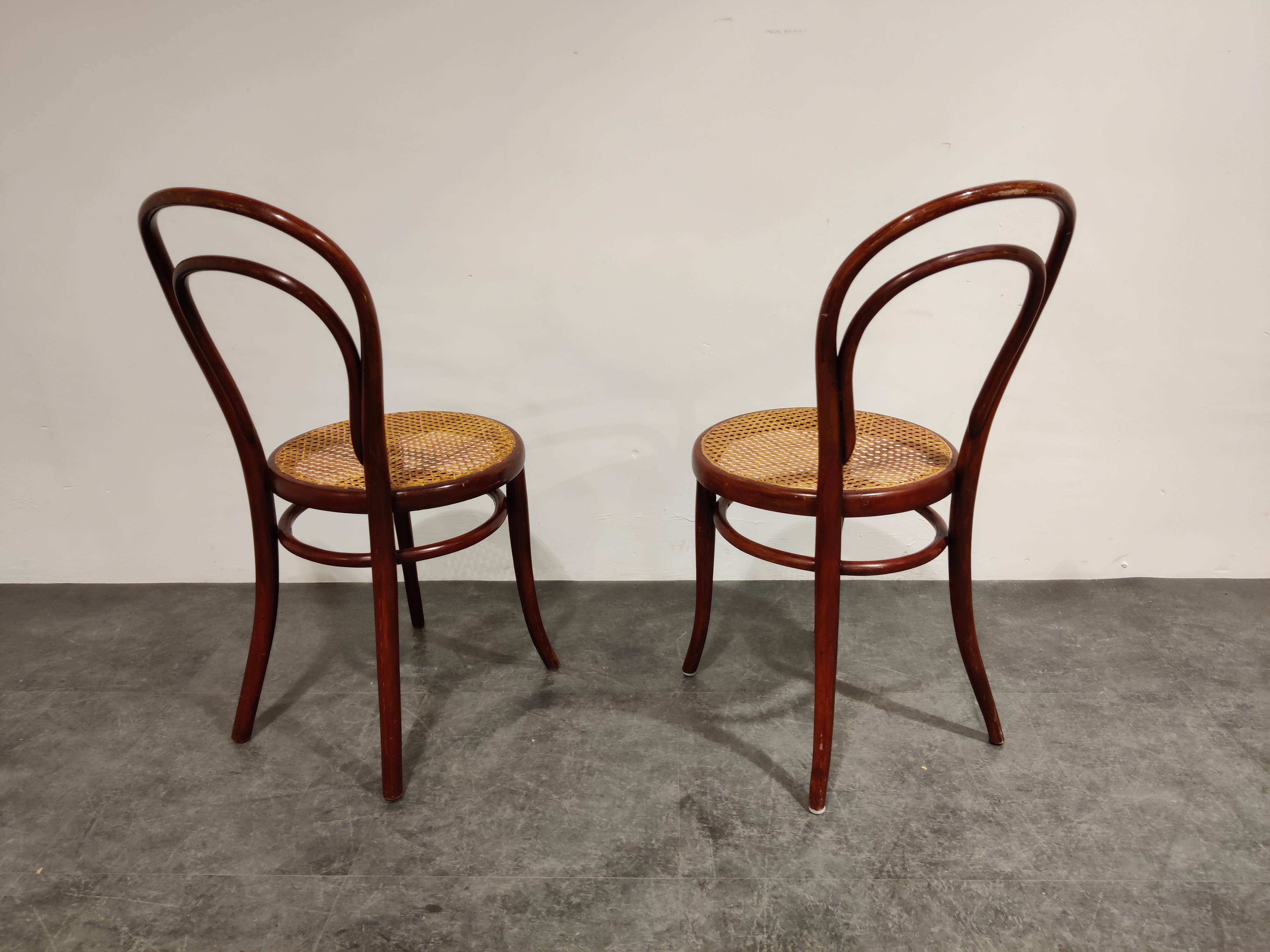 Romanian Pair of Antique Thonet Dining Chairs, 1950s