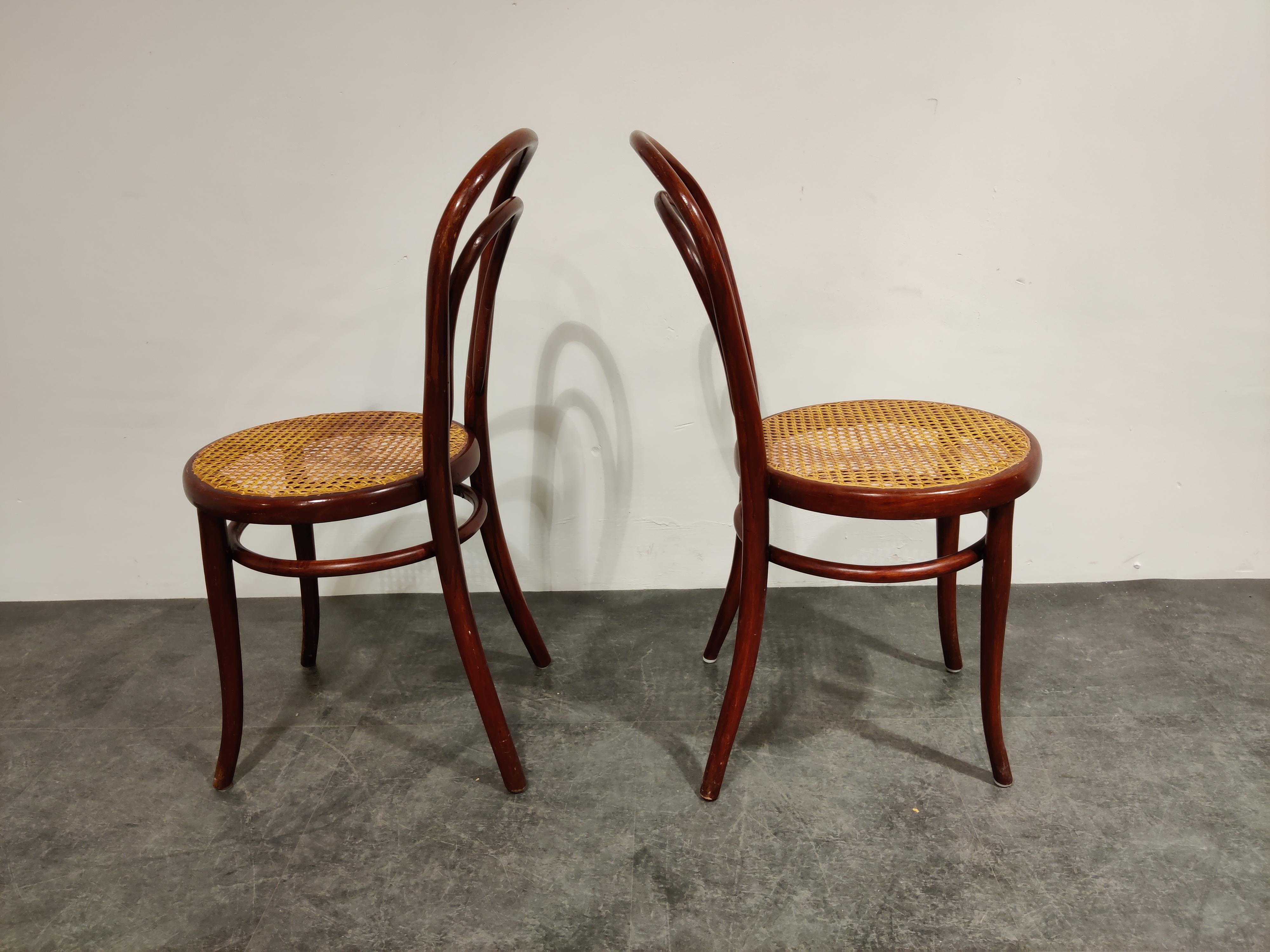Pair of Antique Thonet Dining Chairs, 1950s In Good Condition In HEVERLEE, BE