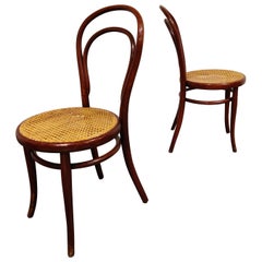 Paire de chaises à manger Thonet anciennes:: années 1950