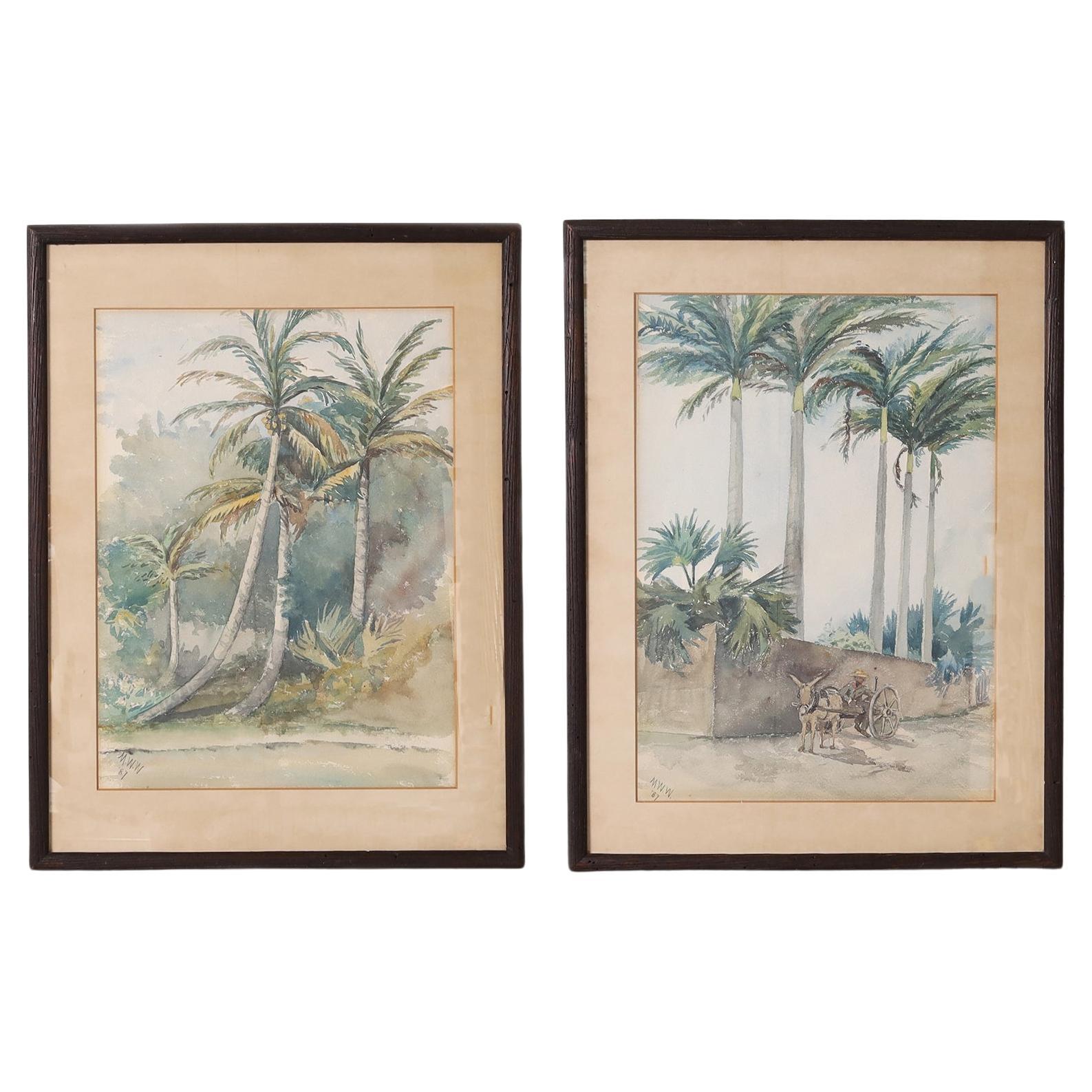 Pair of Antique Tropical Watercolor Paintings