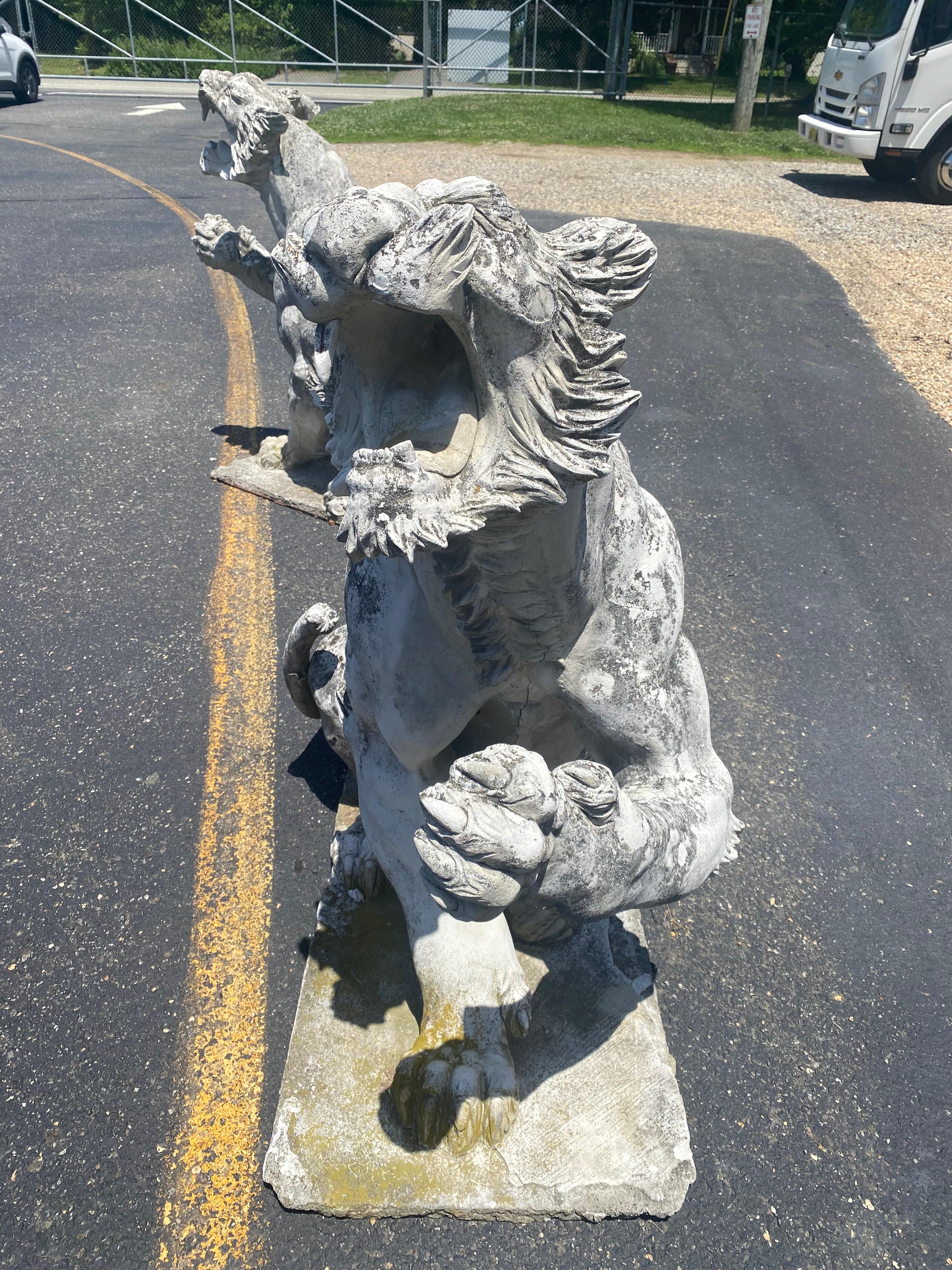 Pair of Antique Victorian Concrete Growling and Threatening Lions, circa 1890s 4