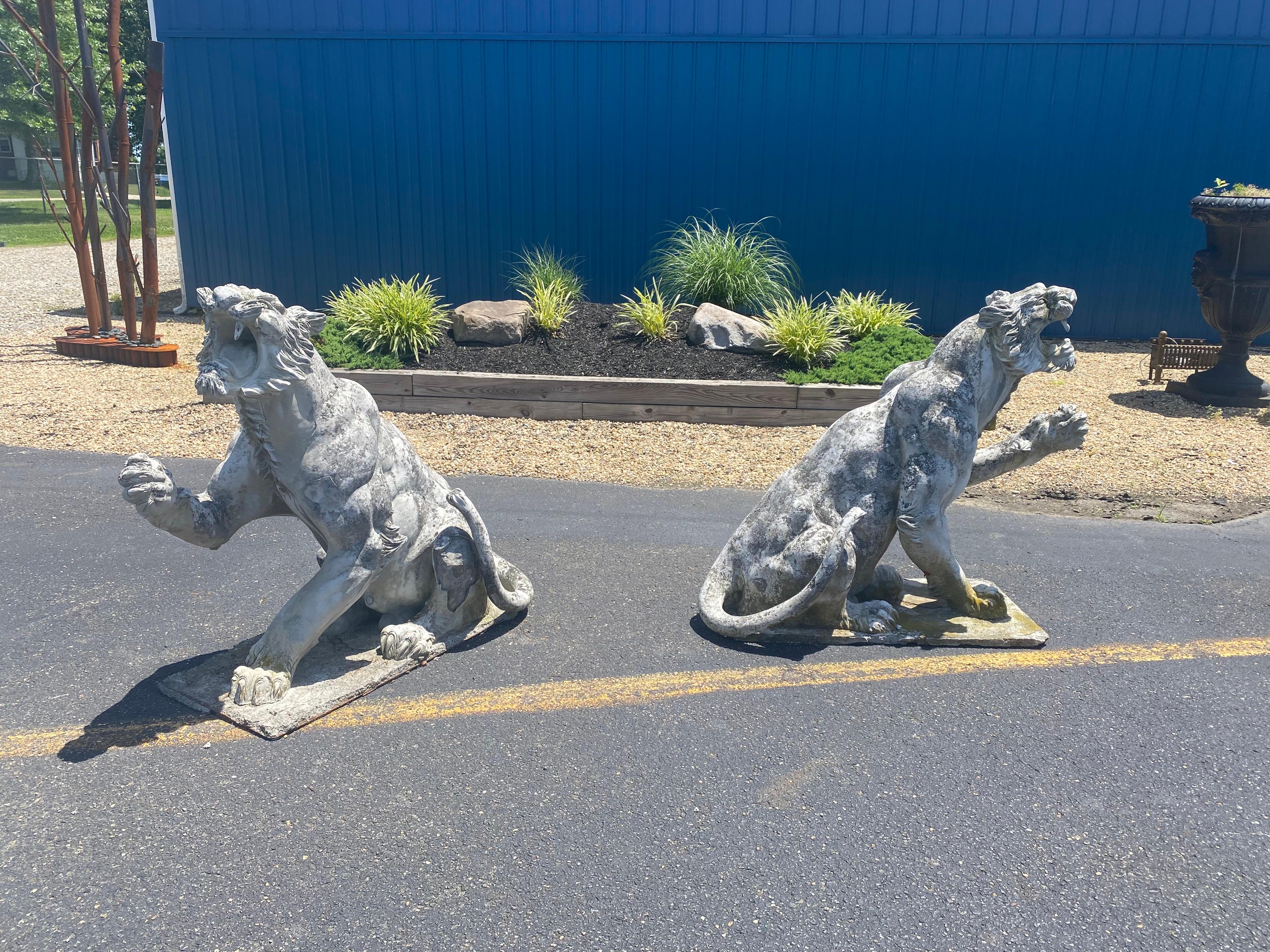 Pair of Antique Victorian Concrete Growling and Threatening Lions, circa 1890s 8