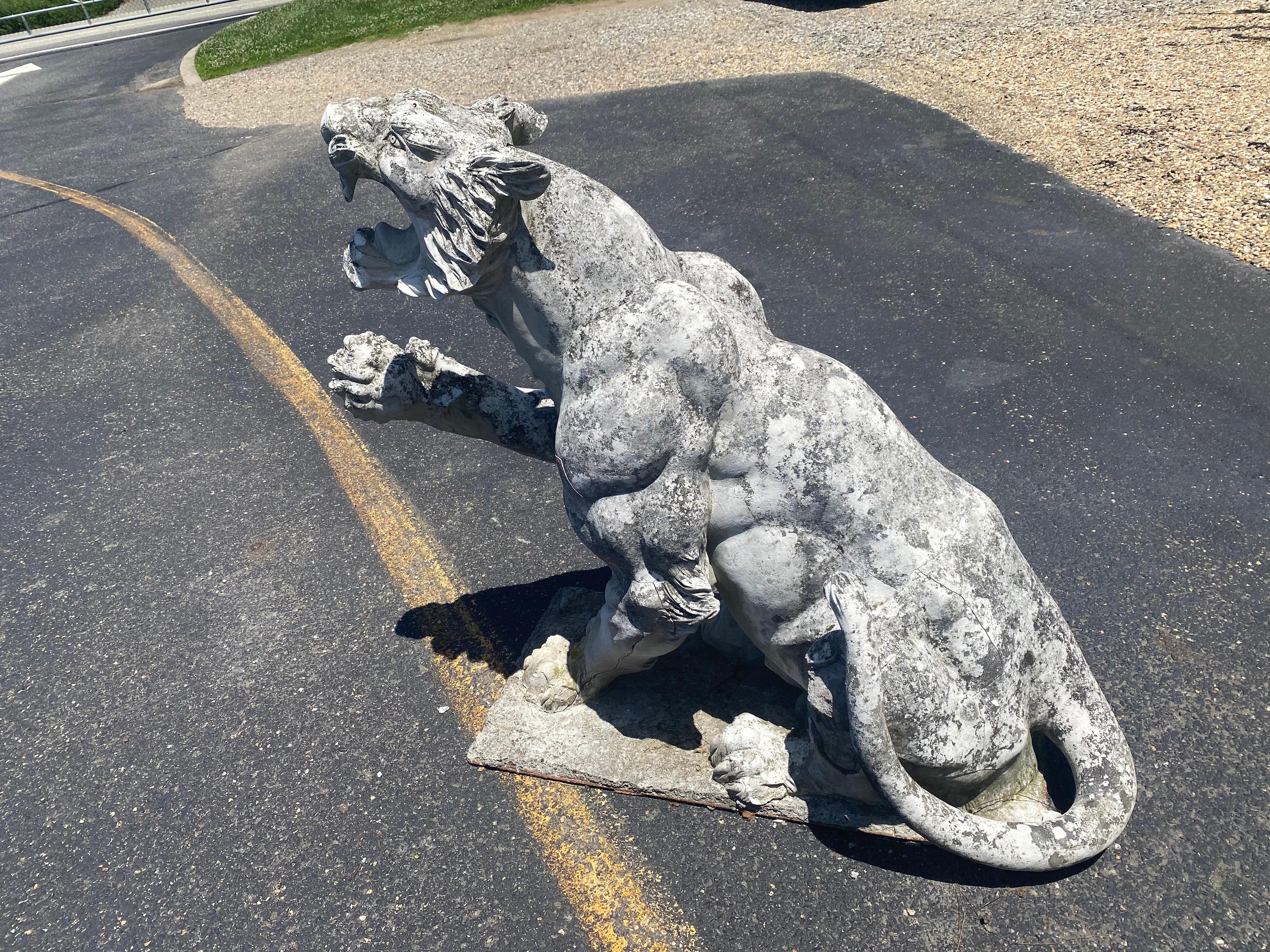 Pair of Antique Victorian Concrete Growling and Threatening Lions, circa 1890s 2