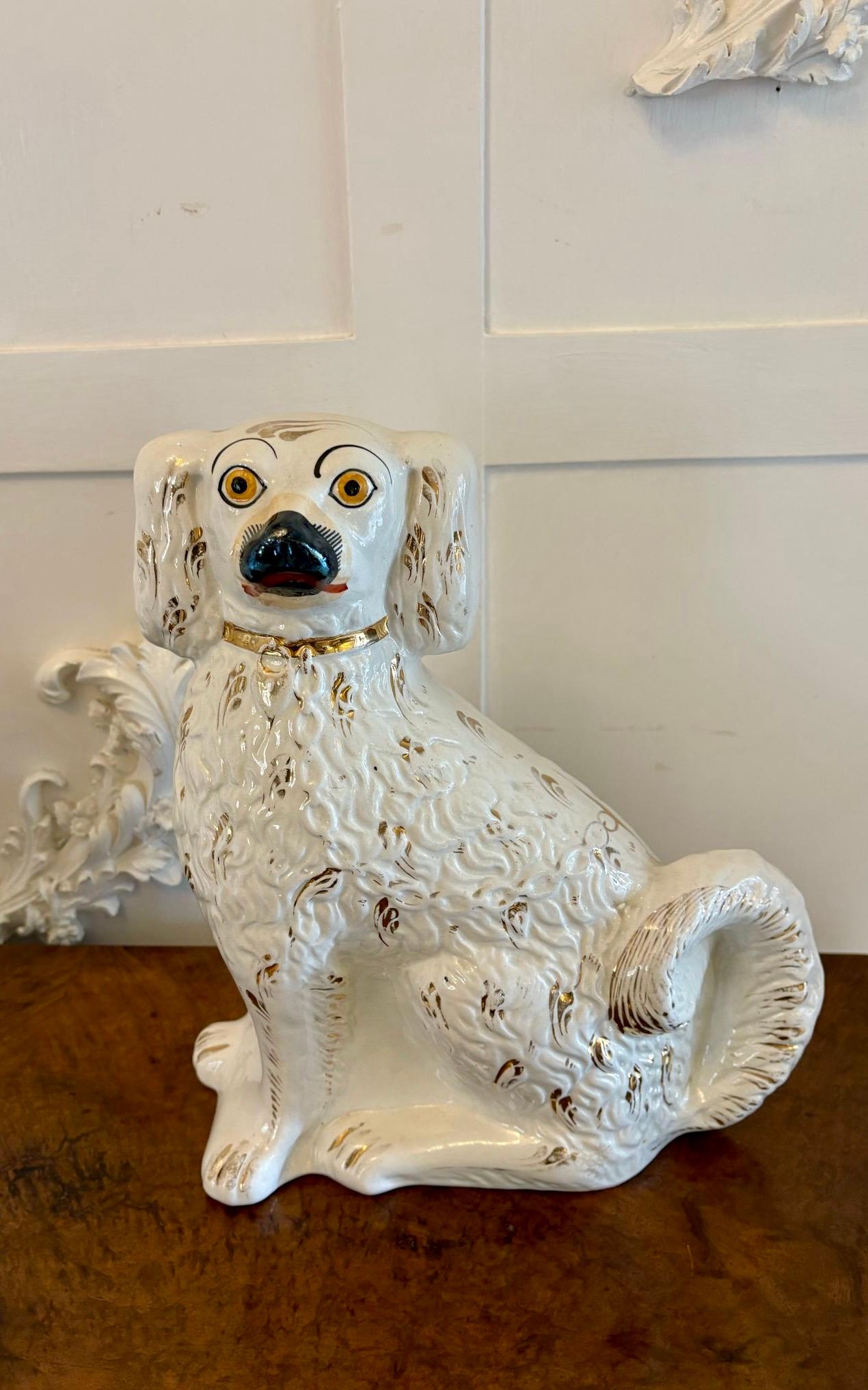 Paire d'anciens chiens de Staffordshire de qualité victorienne en vente 5