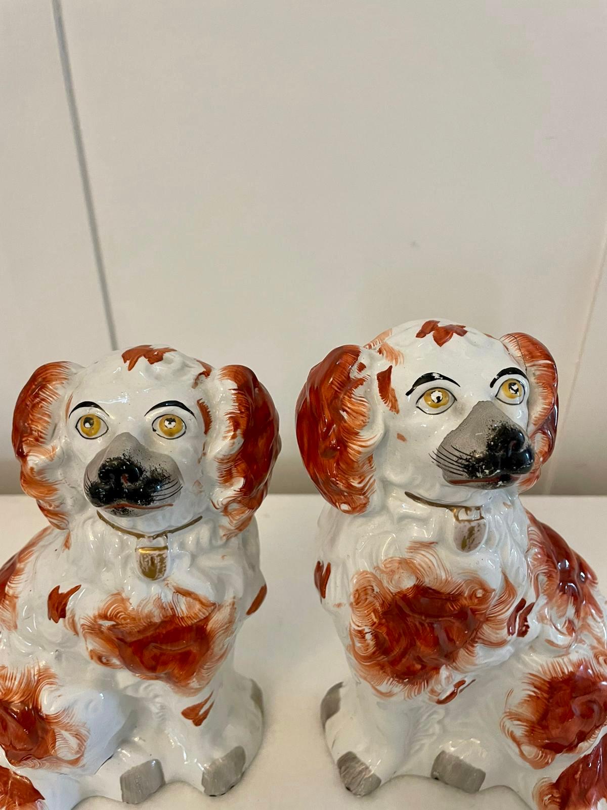 Pair of antique Victorian quality Staffordshire dogs having matching red and white coats with gold padlocks

In lovely original condition

Dimensions:
Height 19 cm (7.48 in)
Width 15 cm (5.90 in)
Depth 9 cm (3.54 in)

Dated 1860.