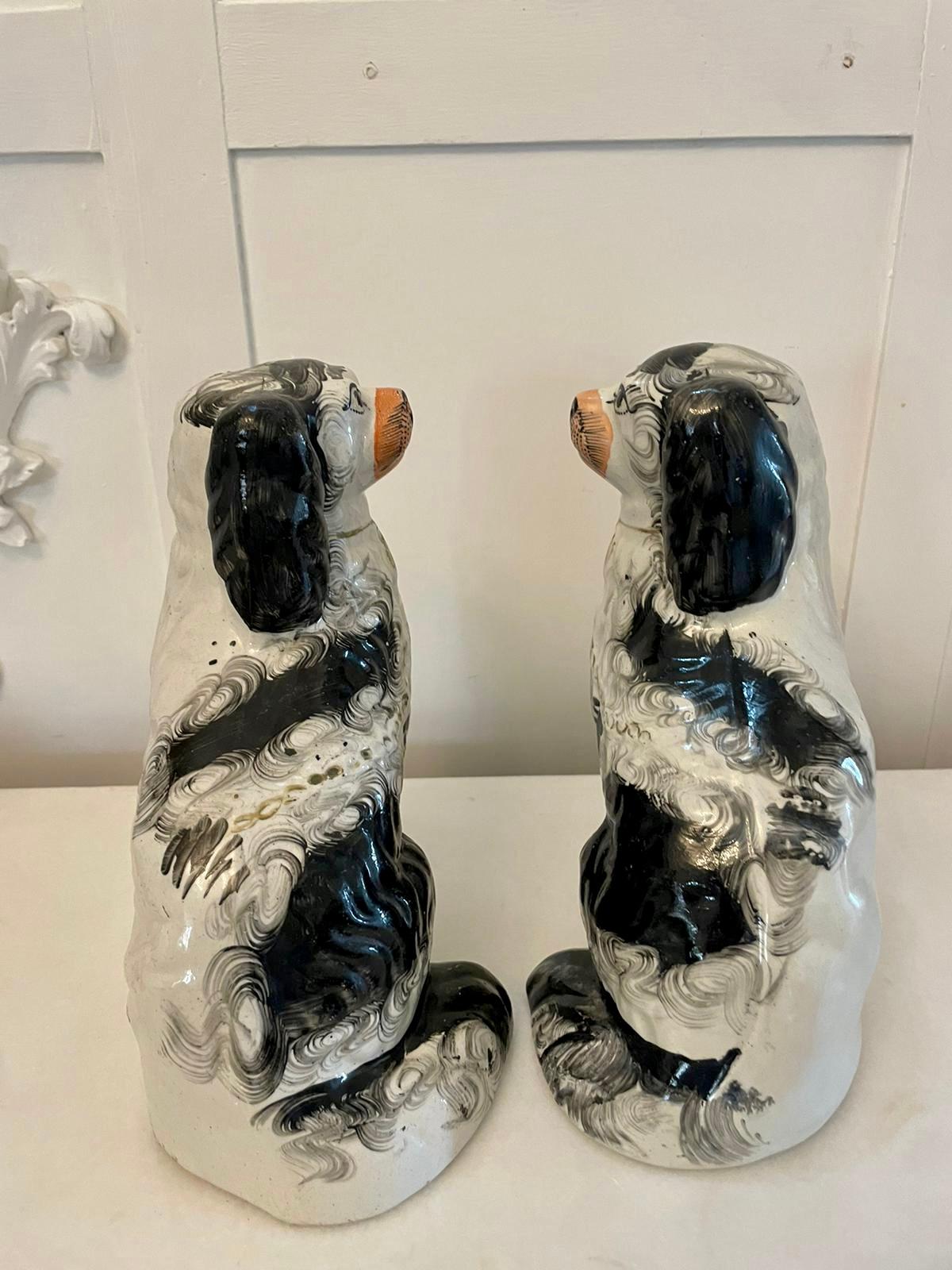 Pair of antique Victorian quality Staffordshire dogs having matching black and white coats with gold collars and padlocks

A charming pair in perfect original condition

Dimensions:
Height 24.5 cm (9.64 in)
Width 17 cm (6.69 in)
Depth 13 cm