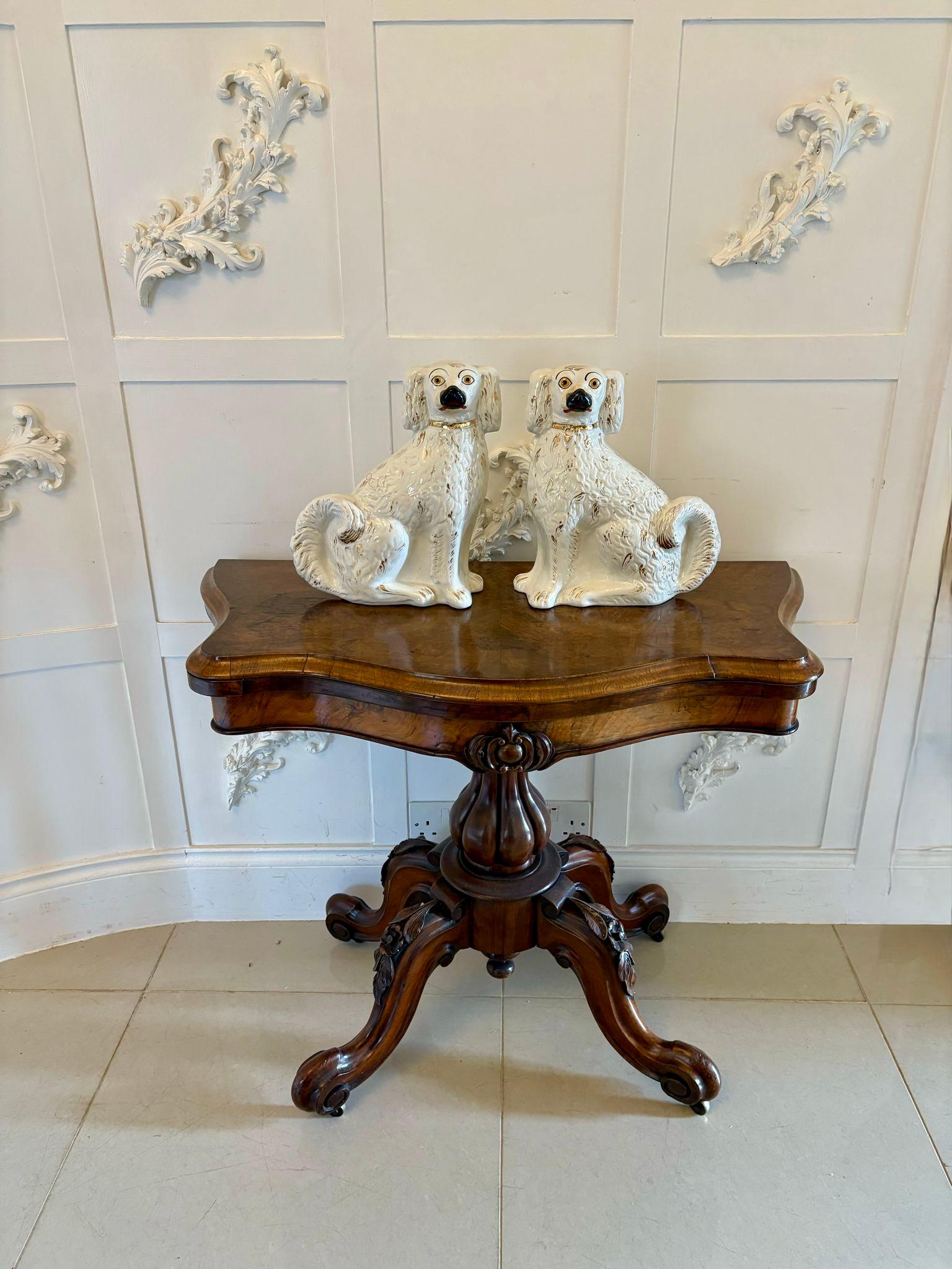 Paire de chiens Staffordshire de l'époque victorienne ayant un pelage de qualité blanc et or, avec un collier et une chaîne à cadenas.

En parfait état d'origine, sans fissures, éclats ou réparations.

Dimensions :
Hauteur 31,5 cm (12,40 in)
Largeur
