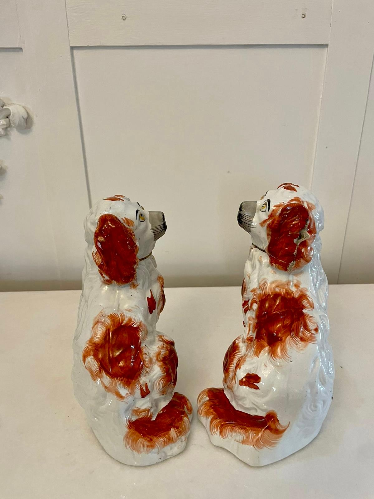 antique staffordshire dogs for sale