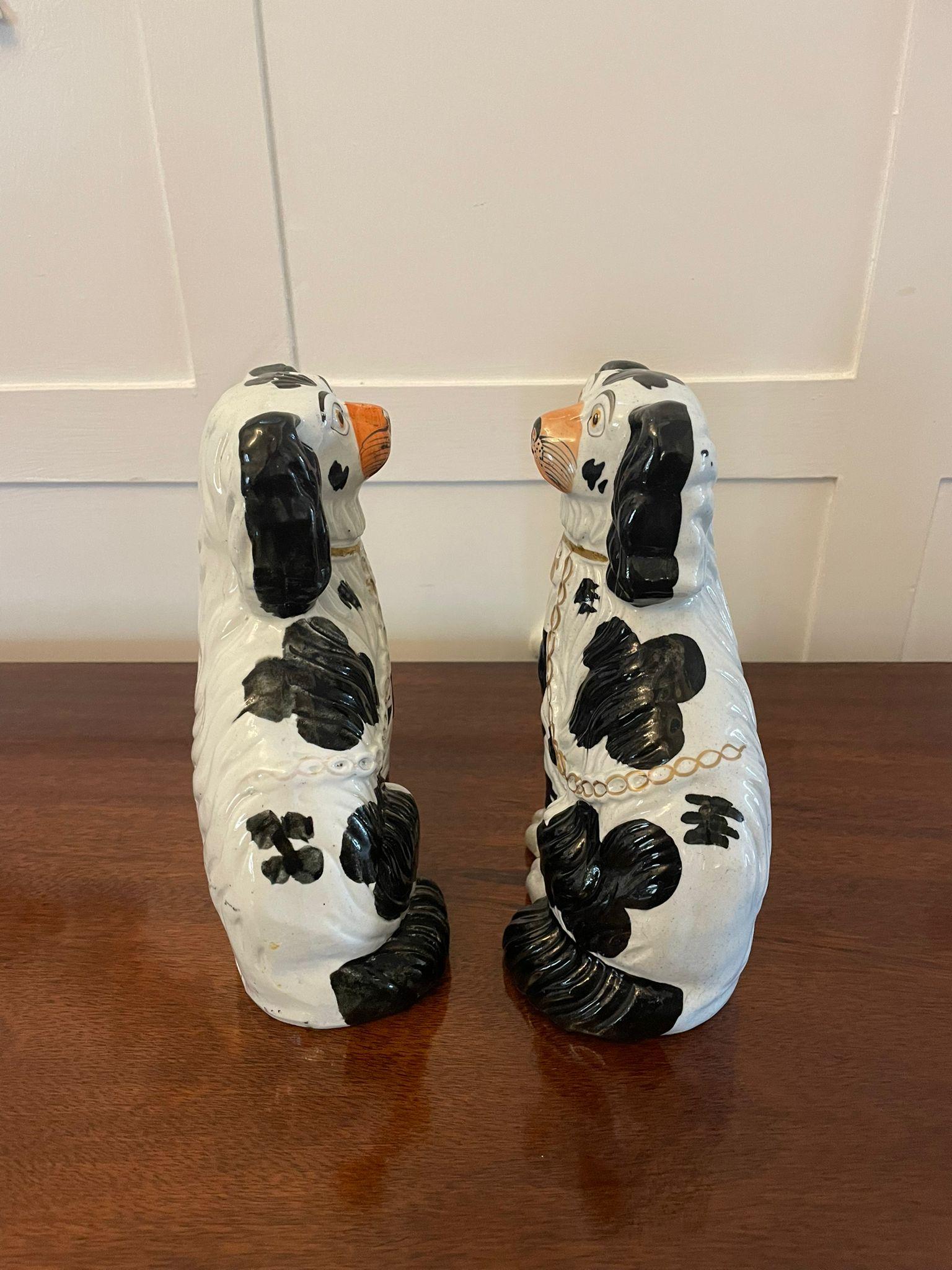 staffordshire dogs antique