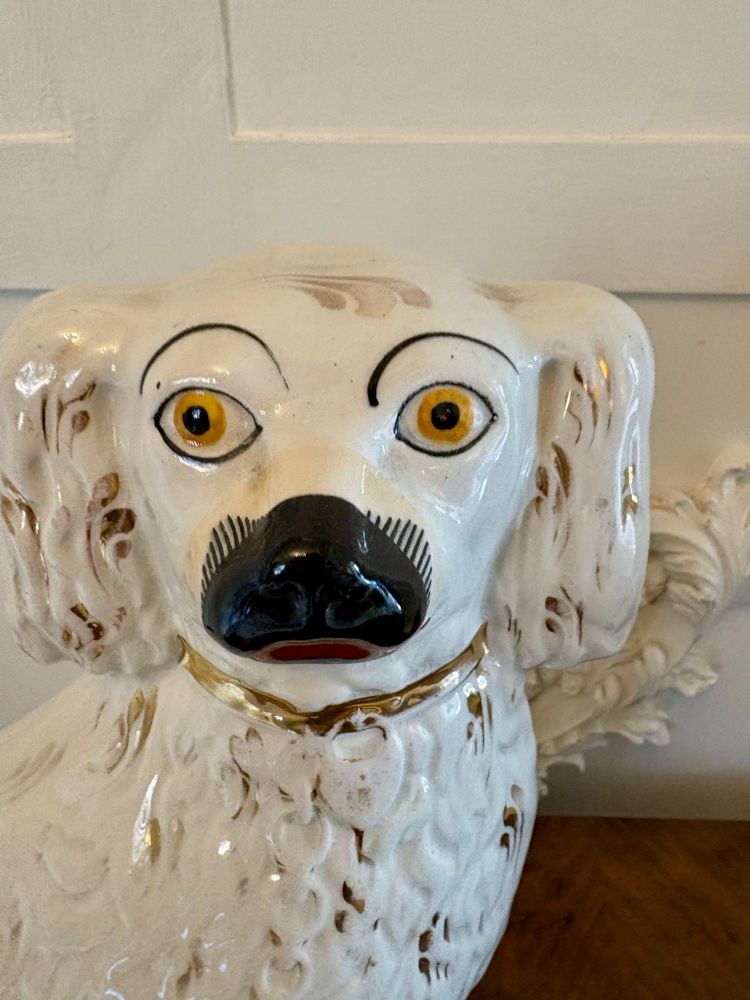 Paire d'anciens chiens de Staffordshire de qualité victorienne en vente 1