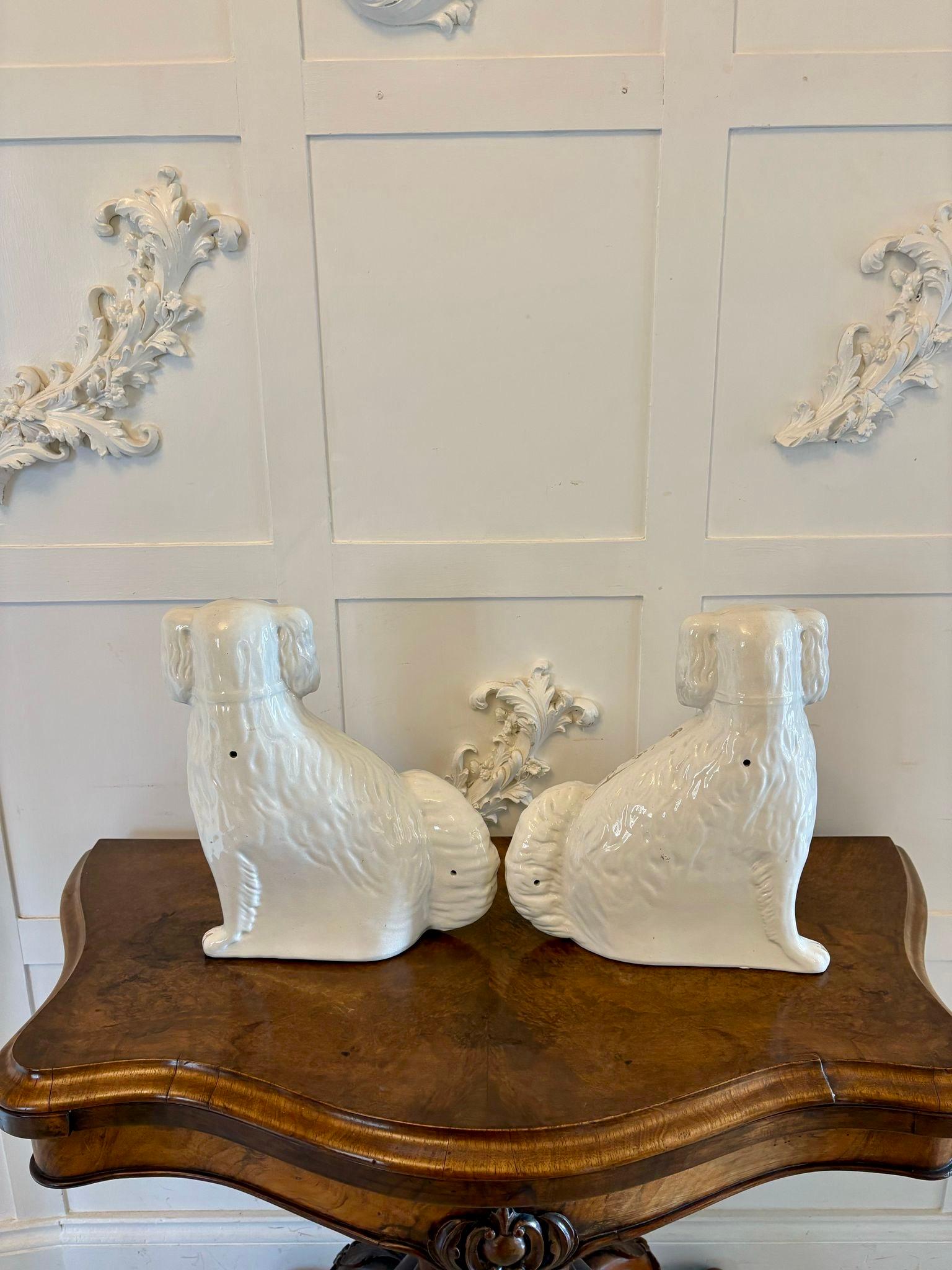 Paire d'anciens chiens de Staffordshire de qualité victorienne en vente 2