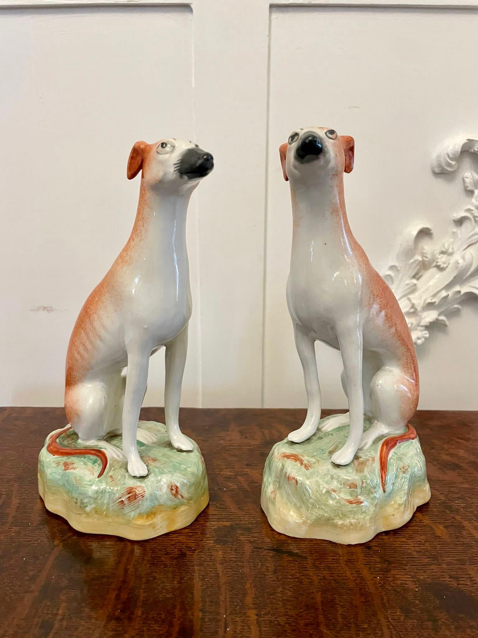 Pair of antique Victorian quality Staffordshire greyhound dogs seated with open front legs on oval bases in wonderful hand painted colours 

In perfect original condition

Measures: H 19 x W 11 x D 7cm
Date 1860.
 