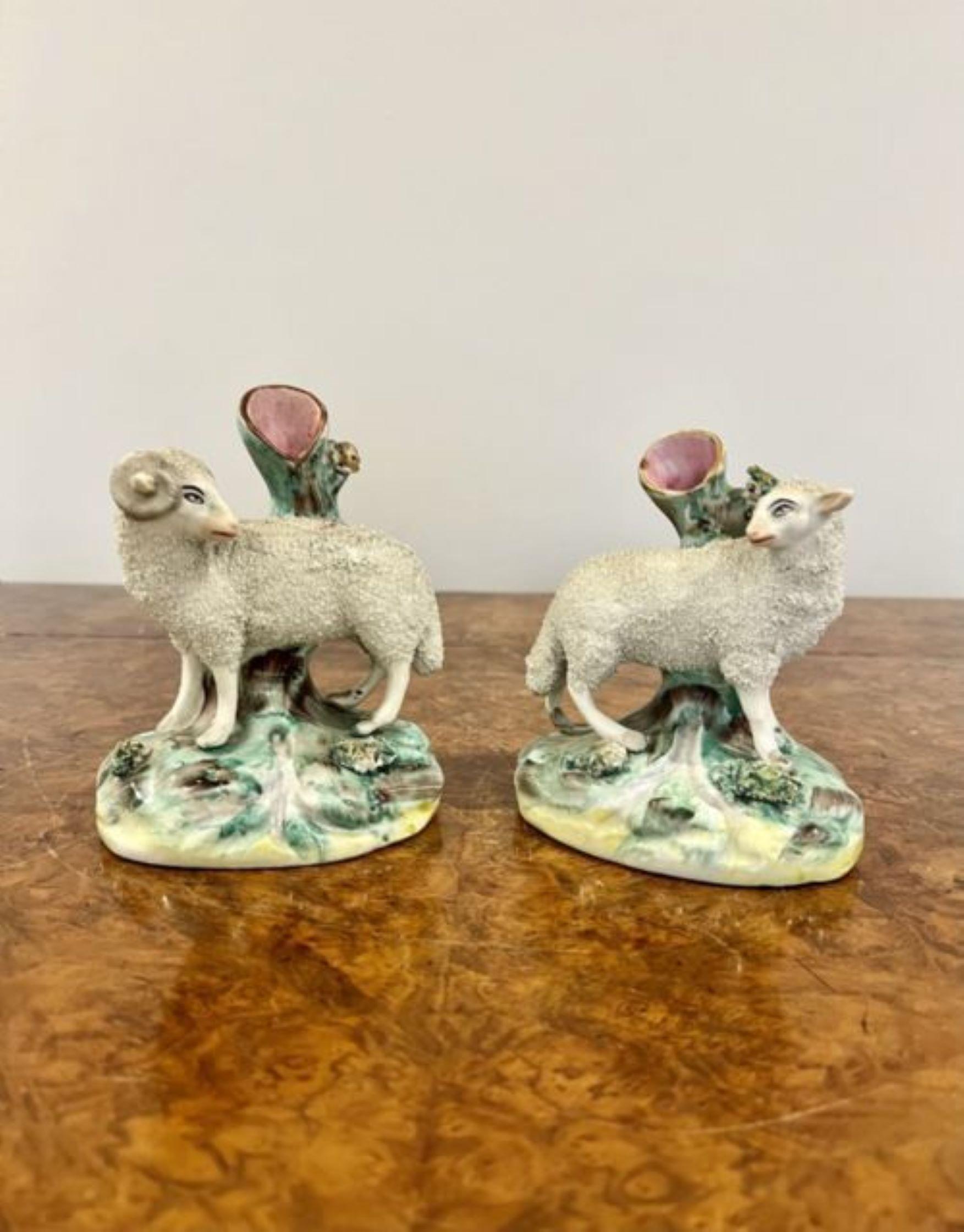 Pair of antique Victorian quality Staffordshire lambs quality pair of antique Victorian Staffordshire spill vases with a ram and a lamb standing on green grass and oval bases 