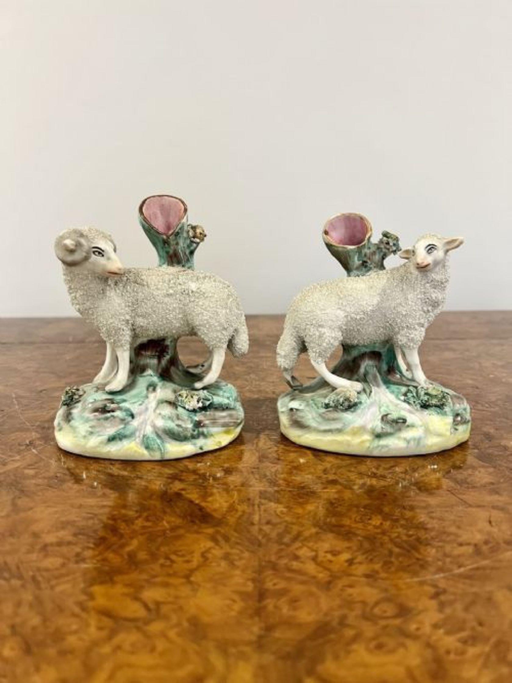 19th Century Pair of antique Victorian quality Staffordshire lambs