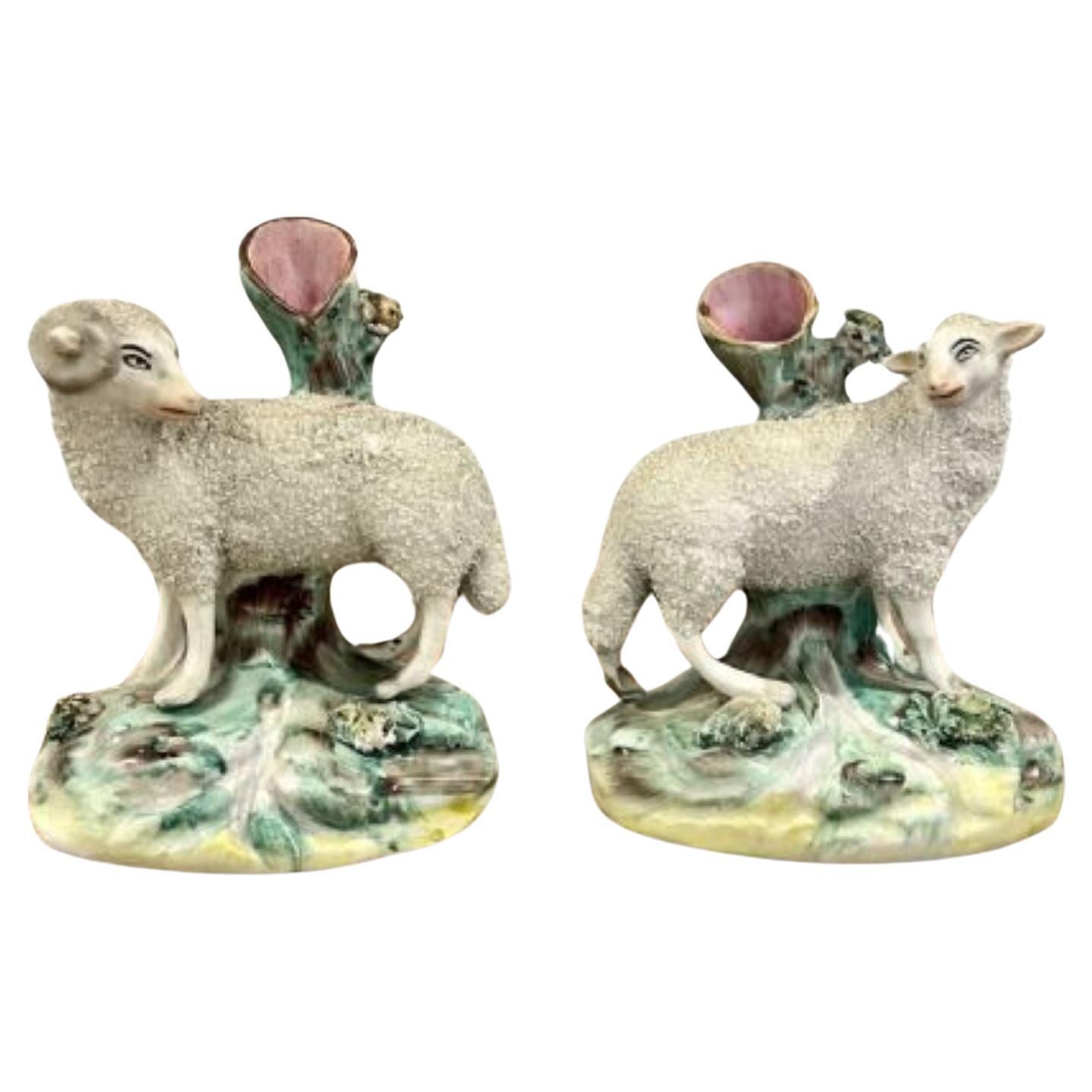Pair of antique Victorian quality Staffordshire lambs