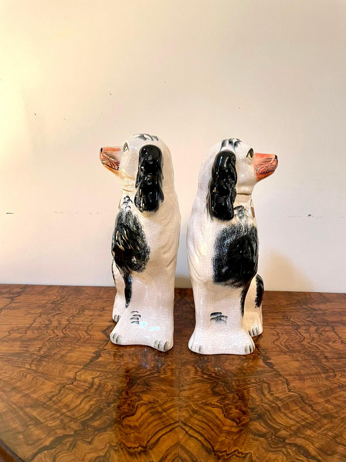 Pair of Antique Victorian Staffordshire Dogs 4