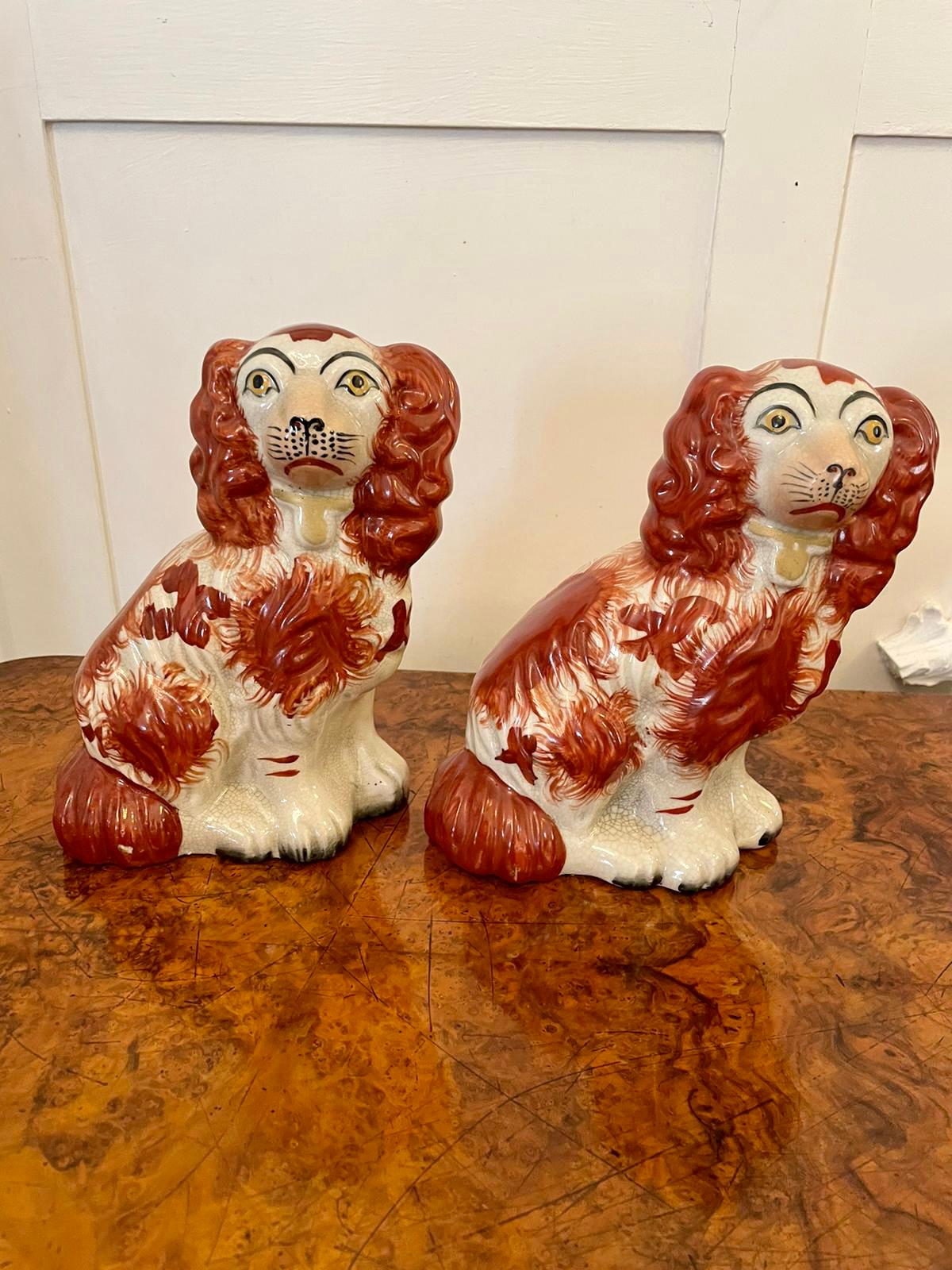 Pair of antique Victorian Staffordshire dogs having matching
brown and white coats, collars & padlocks.

Both of these charming seated Spaniels are in lovely original condition.

Measures: H. 19.5cm 
W 15cm 
D 7cm
Date 1870.
  