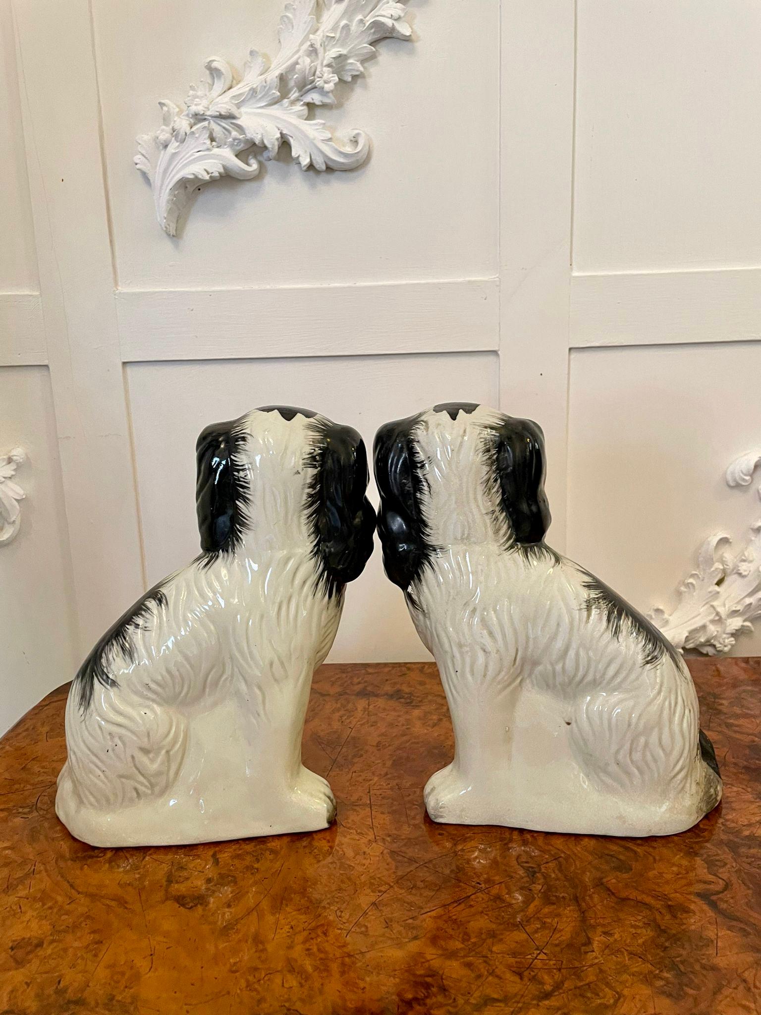 Pair of antique Victorian Staffordshire dogs having matching
Black and white coats, collars & padlocks.

Both of these charming seated Spaniels are in lovely original condition.

Measures: H 23.5cm 
W 18cm 
D 10cm
1860.
    