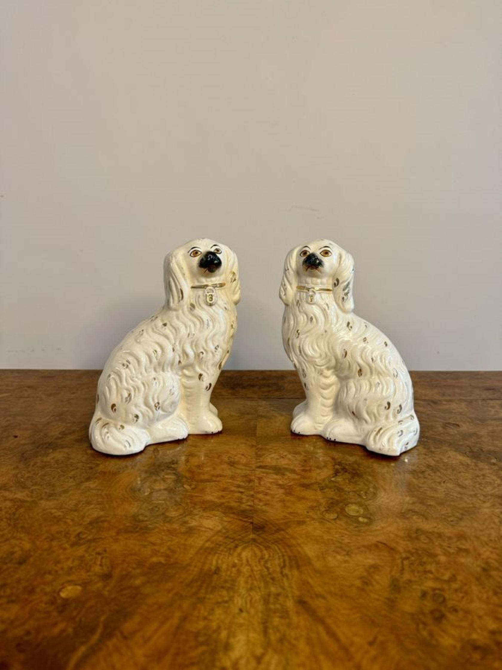Pair of antique Victorian Staffordshire dogs, having a pair of seated spaniels in white and gold coloured coats with matching collars and padlocks.

D. 1880