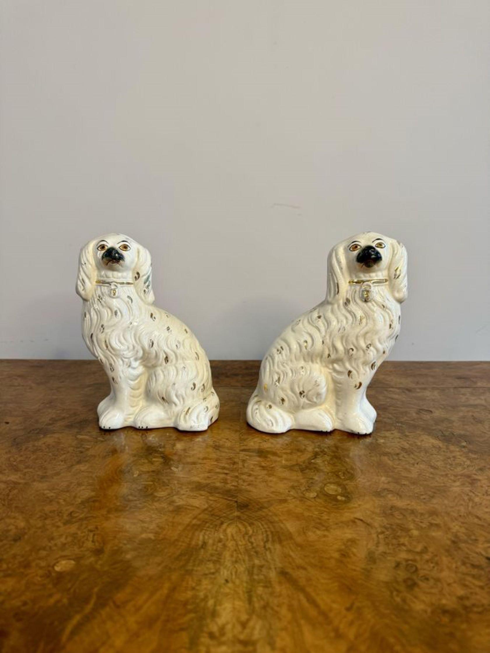 Paar antike viktorianische Staffordshire-Hunde (Frühviktorianisch)