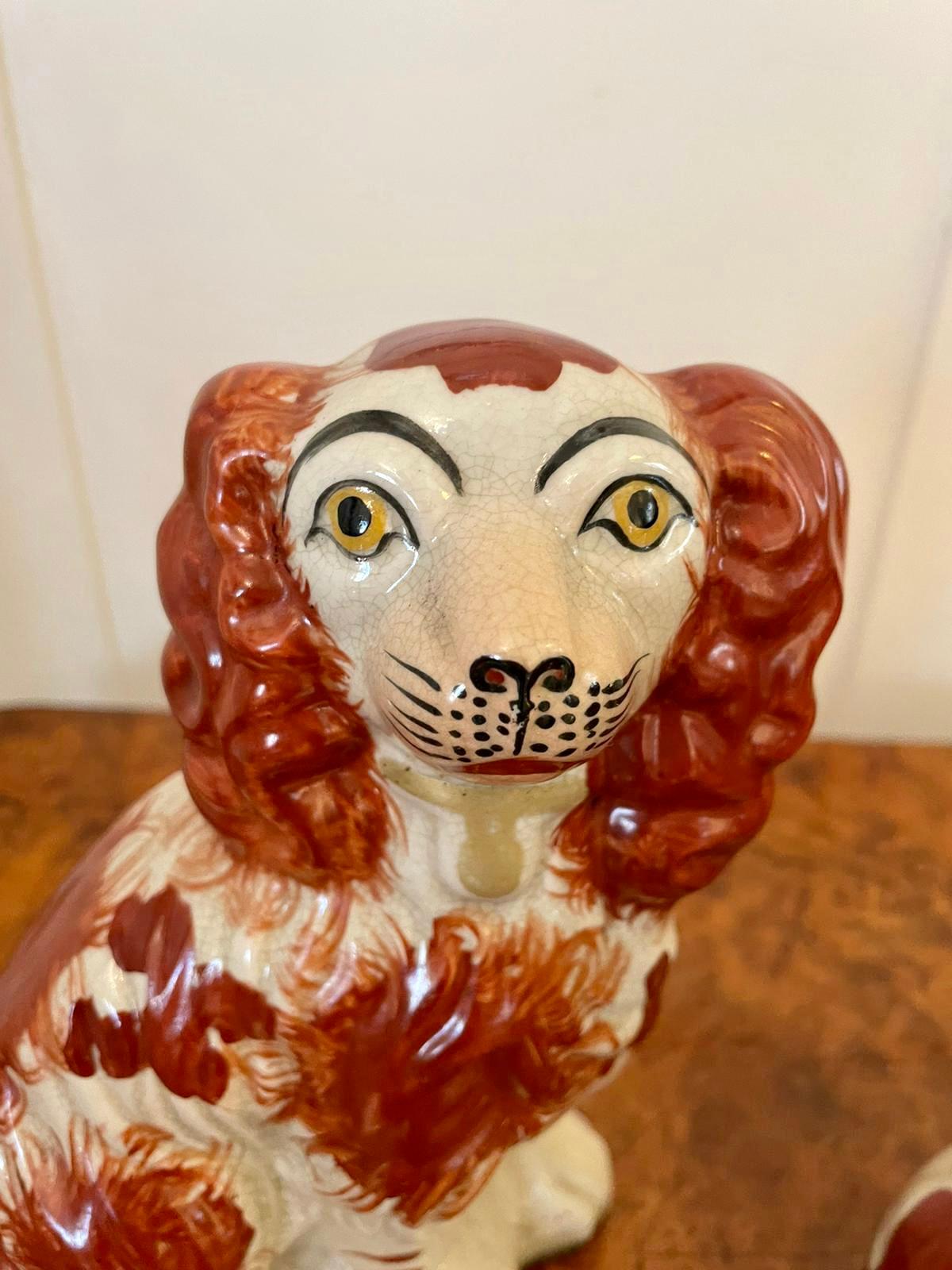 English Pair of Antique Victorian Staffordshire Dogs For Sale