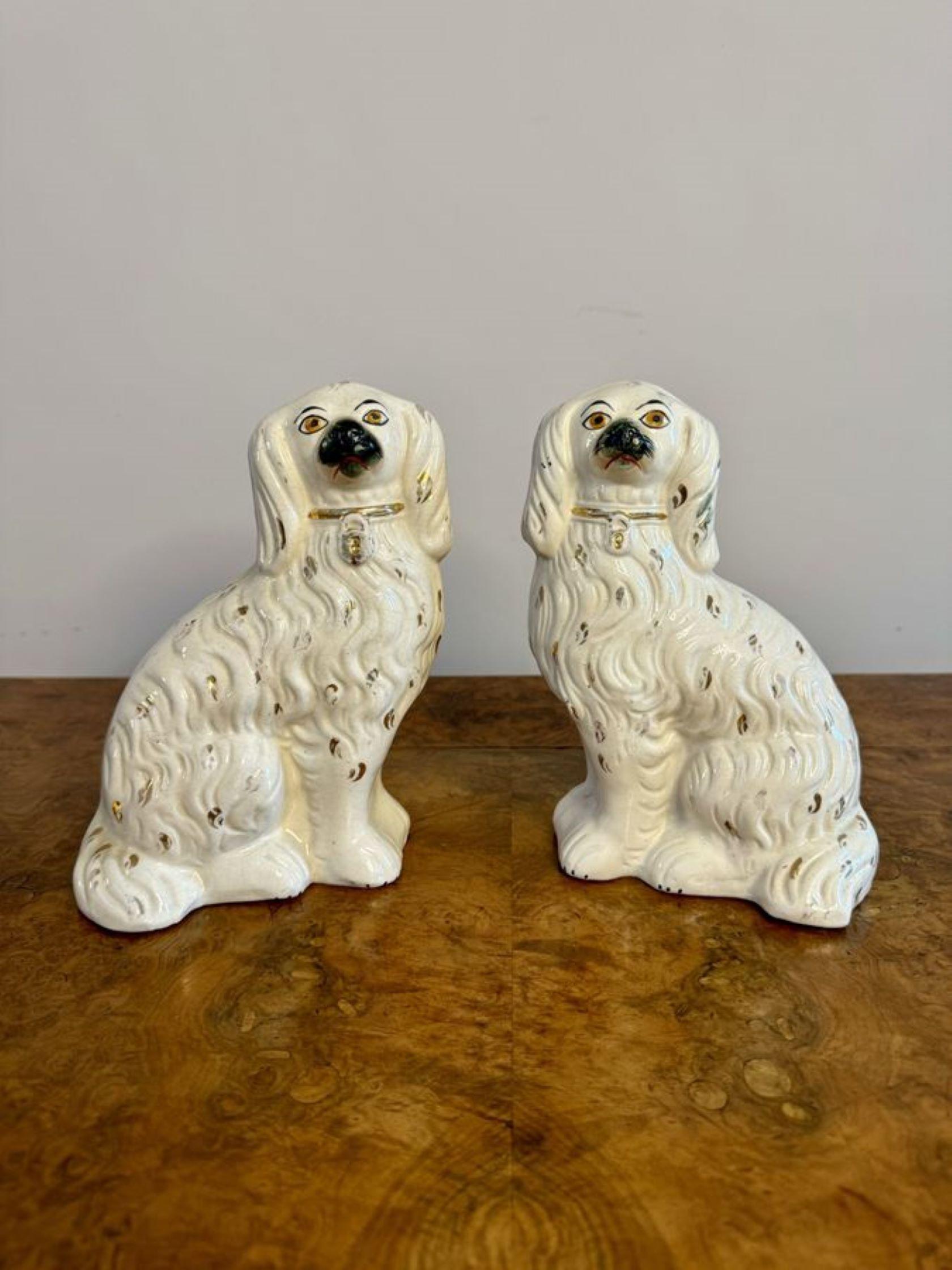 19th Century Pair of antique Victorian Staffordshire dogs