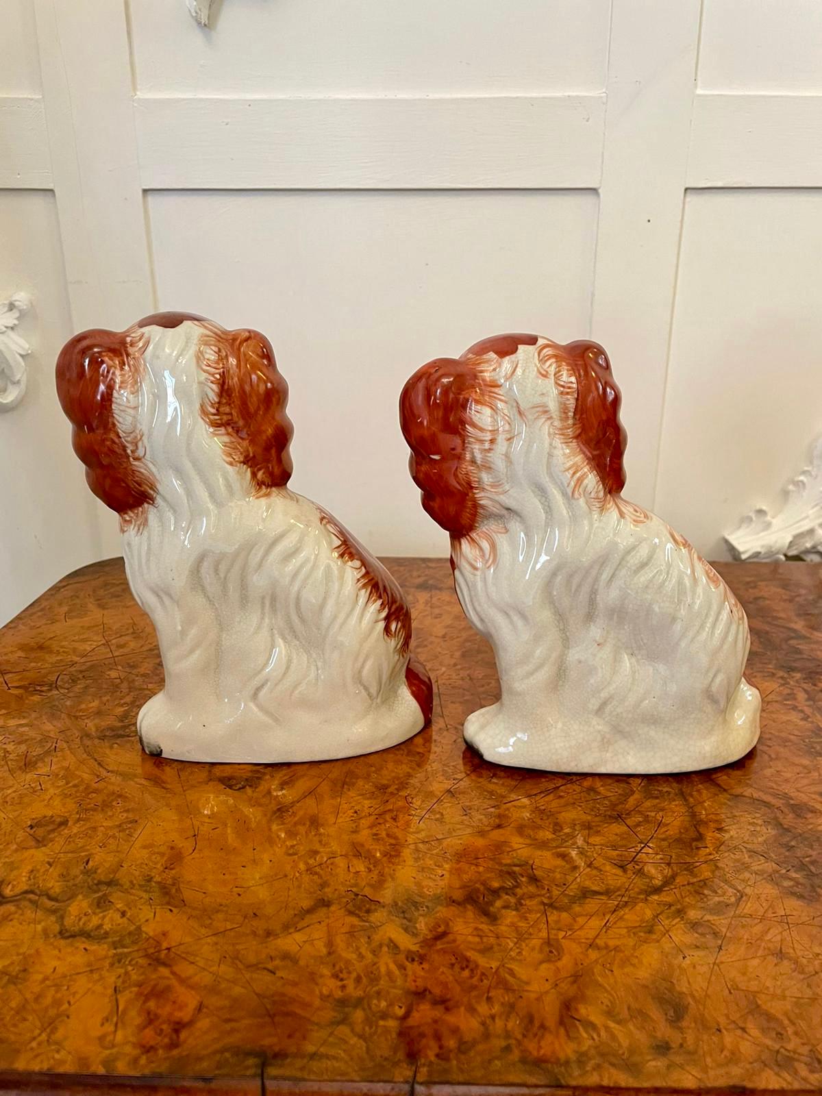 Pair of Antique Victorian Staffordshire Dogs For Sale 2