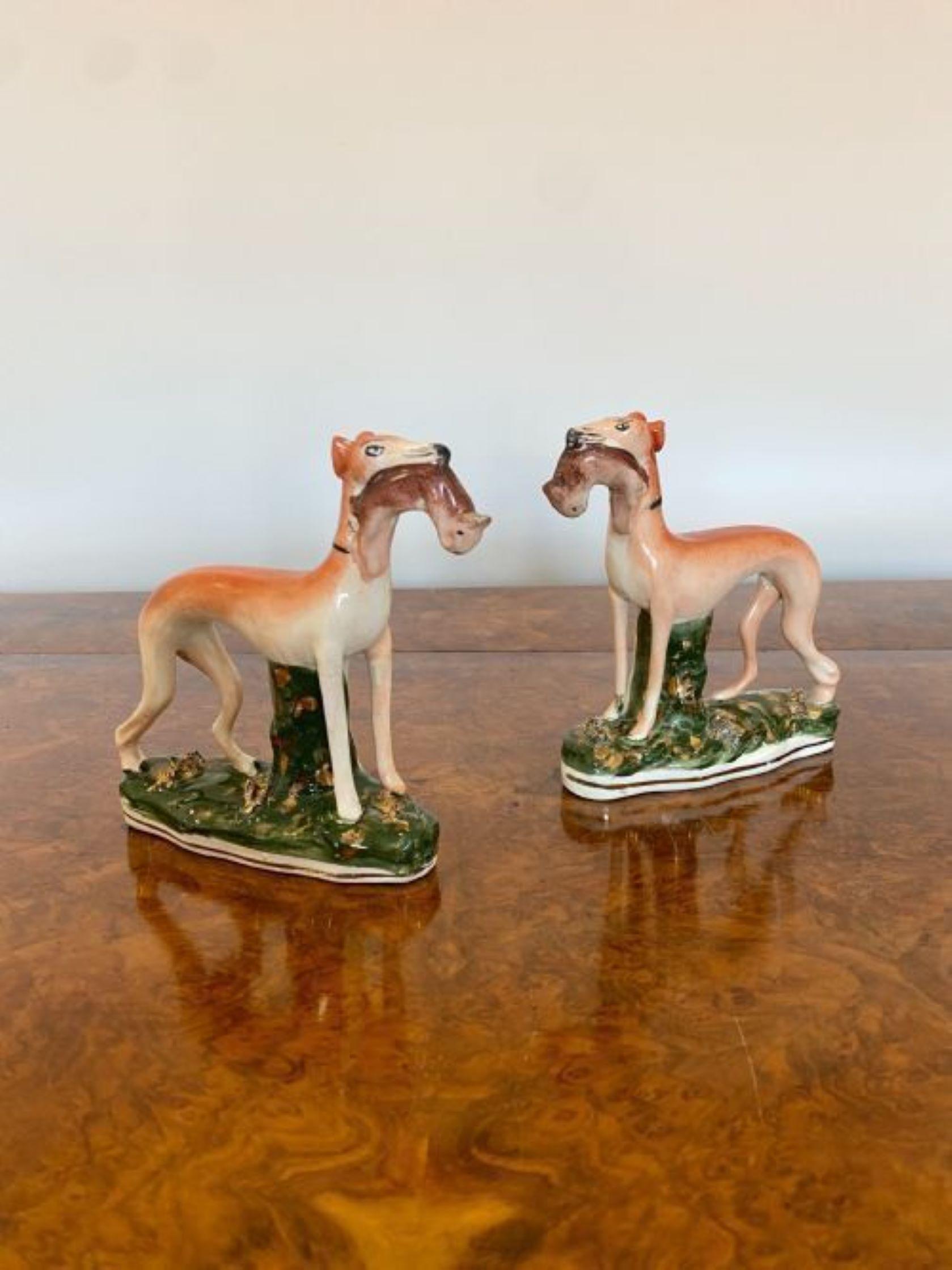 19th Century Pair Of Antique Victorian Staffordshire Greyhound dogs 