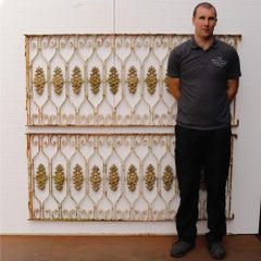 Pair of Antique Victorian Wrought Iron Railings