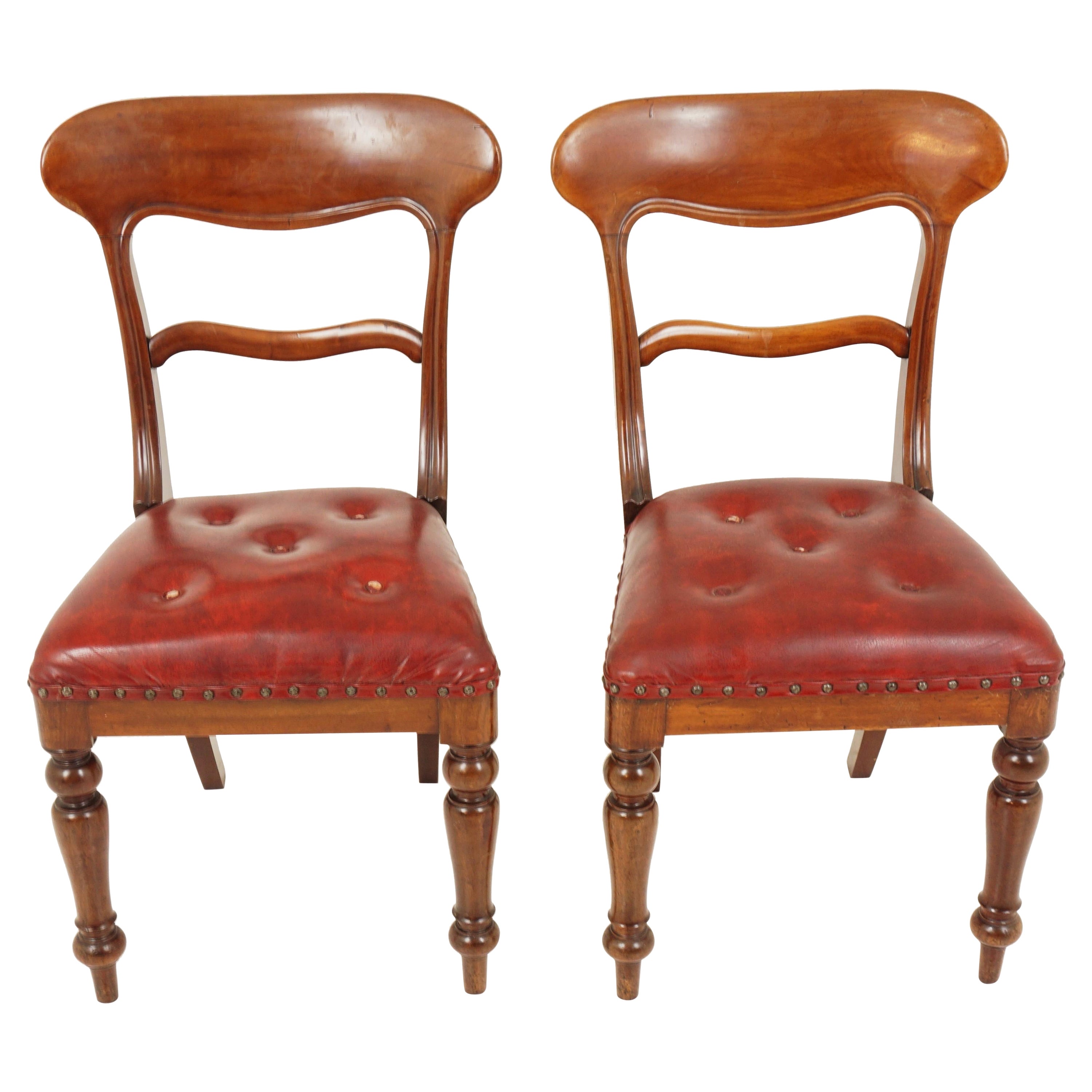 Pair of Antique Walnut Dining Chairs, Library Chair Scotland 1880, B2866
