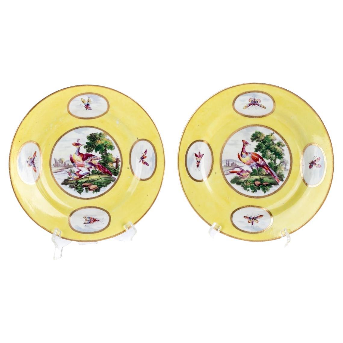 Pair of Antique Worcester Bird Plates