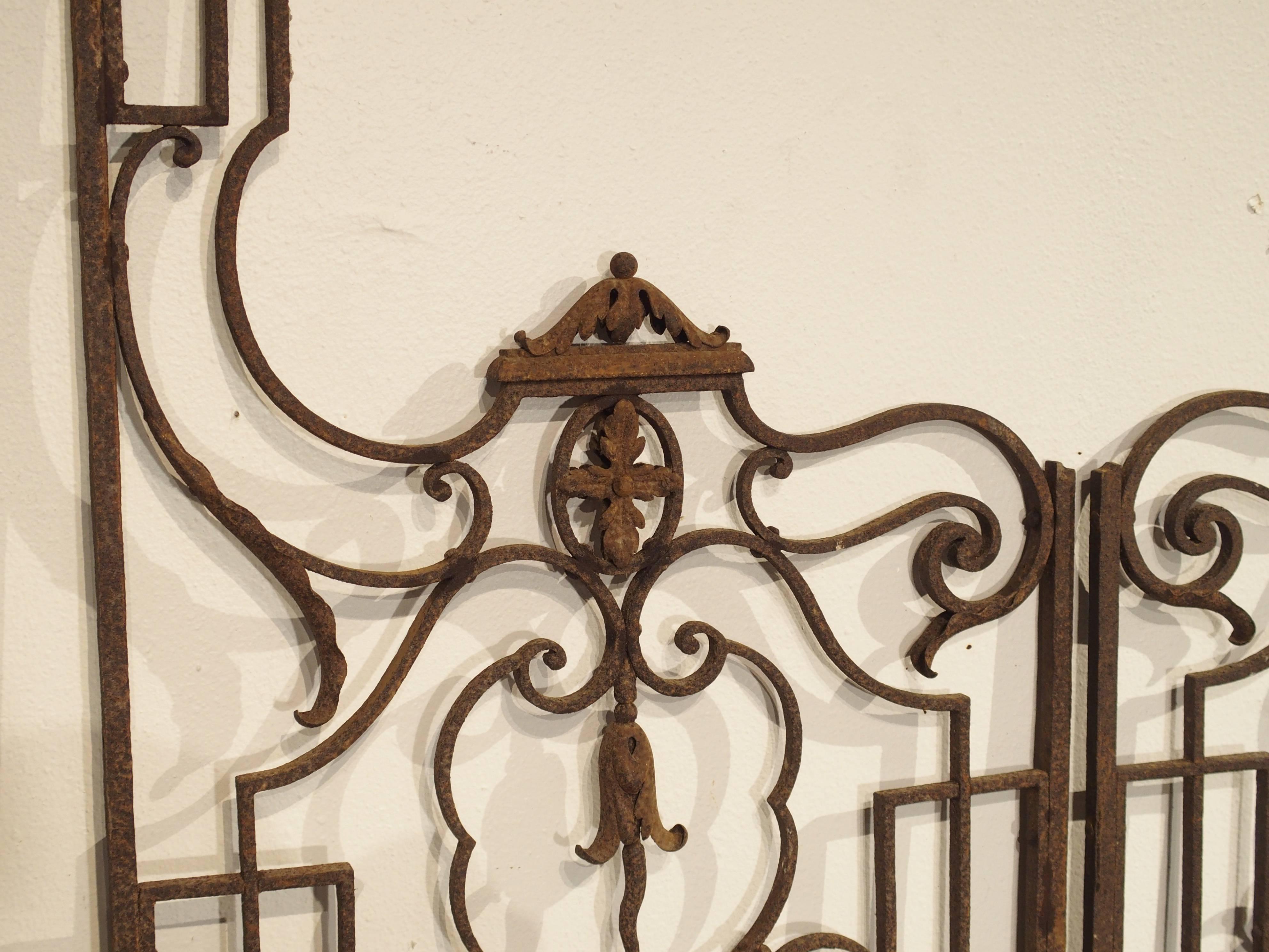 This elegant pair of antique garden gates from France date to the end of the 19th century. They have geometric and curvilinear motifs giving interest to the interior forms. There is a large swag of wrought iron husks at the centre. These gates could