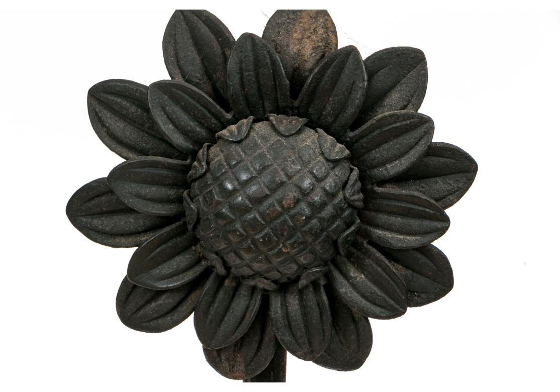 Pair Of Antique  Wrought Iron Sunflower Form Andirons 2