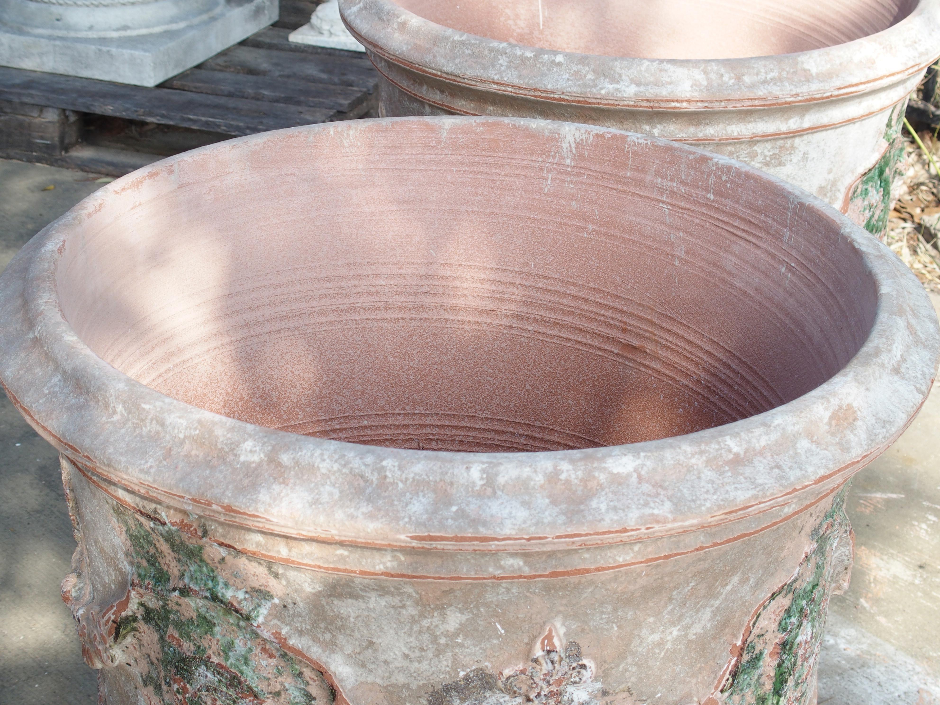 Contemporary Pair of Antiqued Classic Fleur-de-Lys Anduze Pots from France