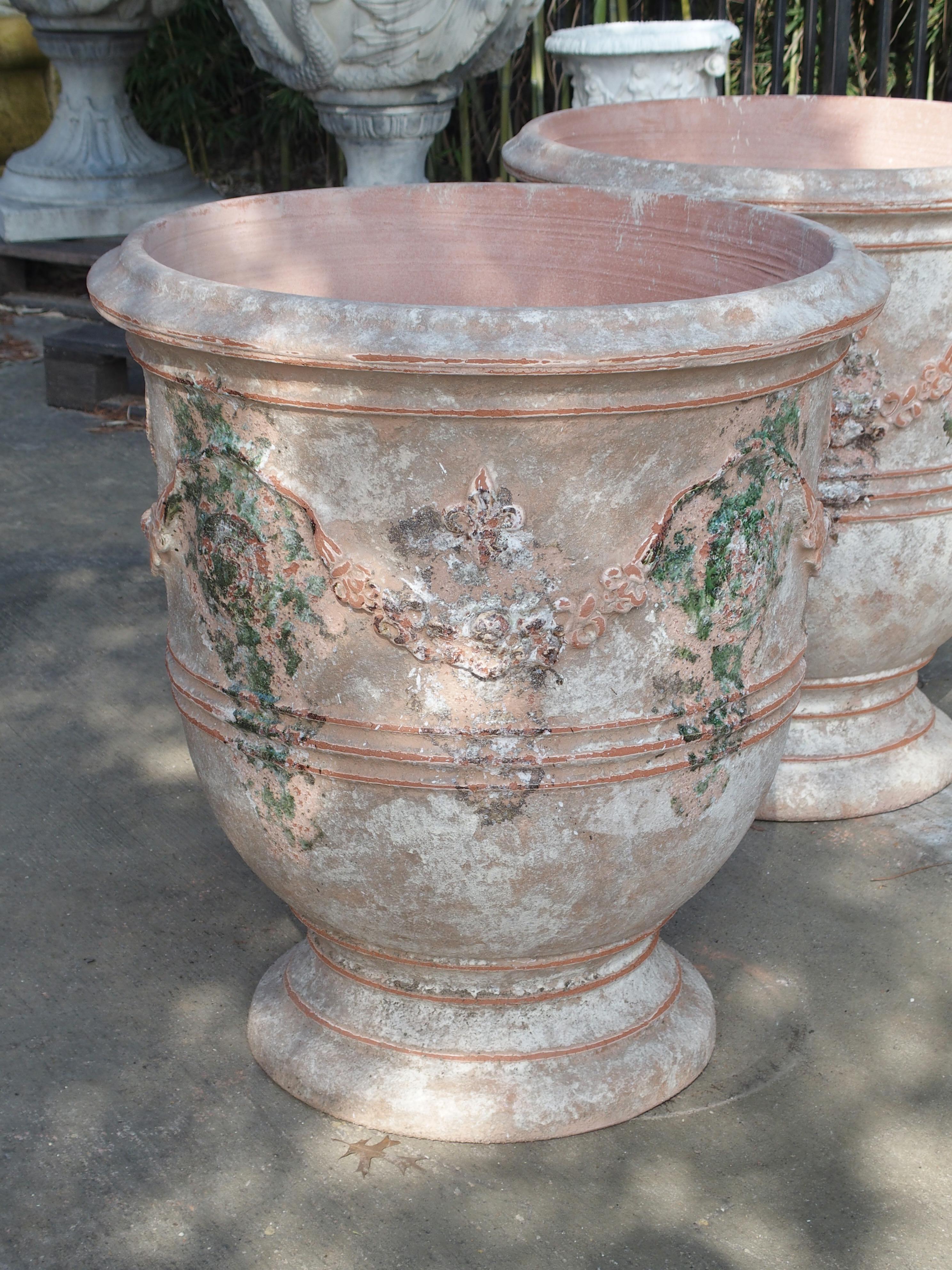 Terracotta Pair of Antiqued Classic Fleur-de-Lys Anduze Pots from France