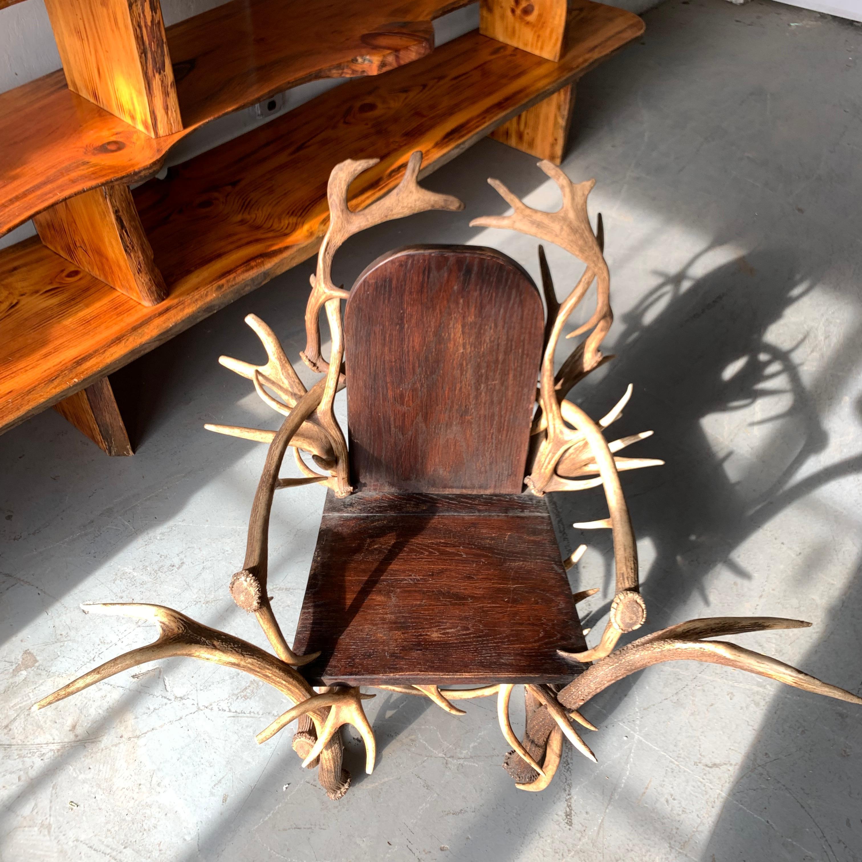 Paire de grands fauteuils américains en bois de cervidé, années 1920 en vente 5