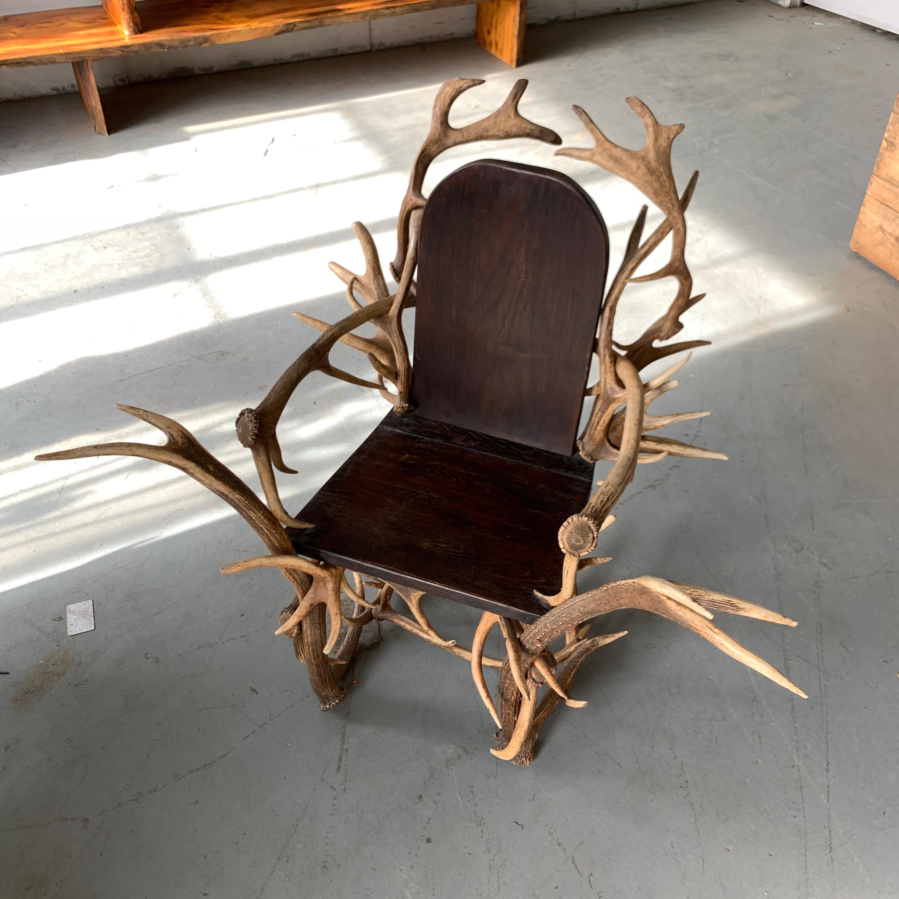 Paire de grands fauteuils américains en bois de cervidé, années 1920 en vente 8