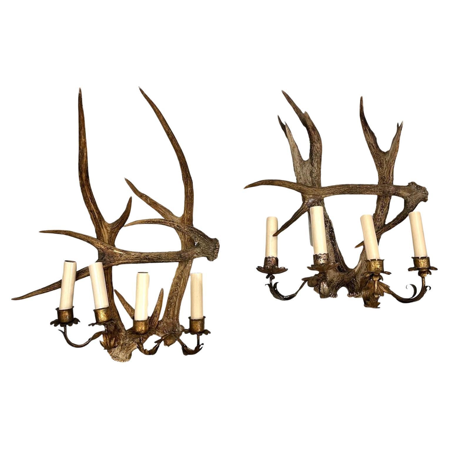 Pair of Antlers Sconces For Sale