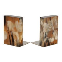 Pair of Arcahorn Horn and Stainless Steel Bookends